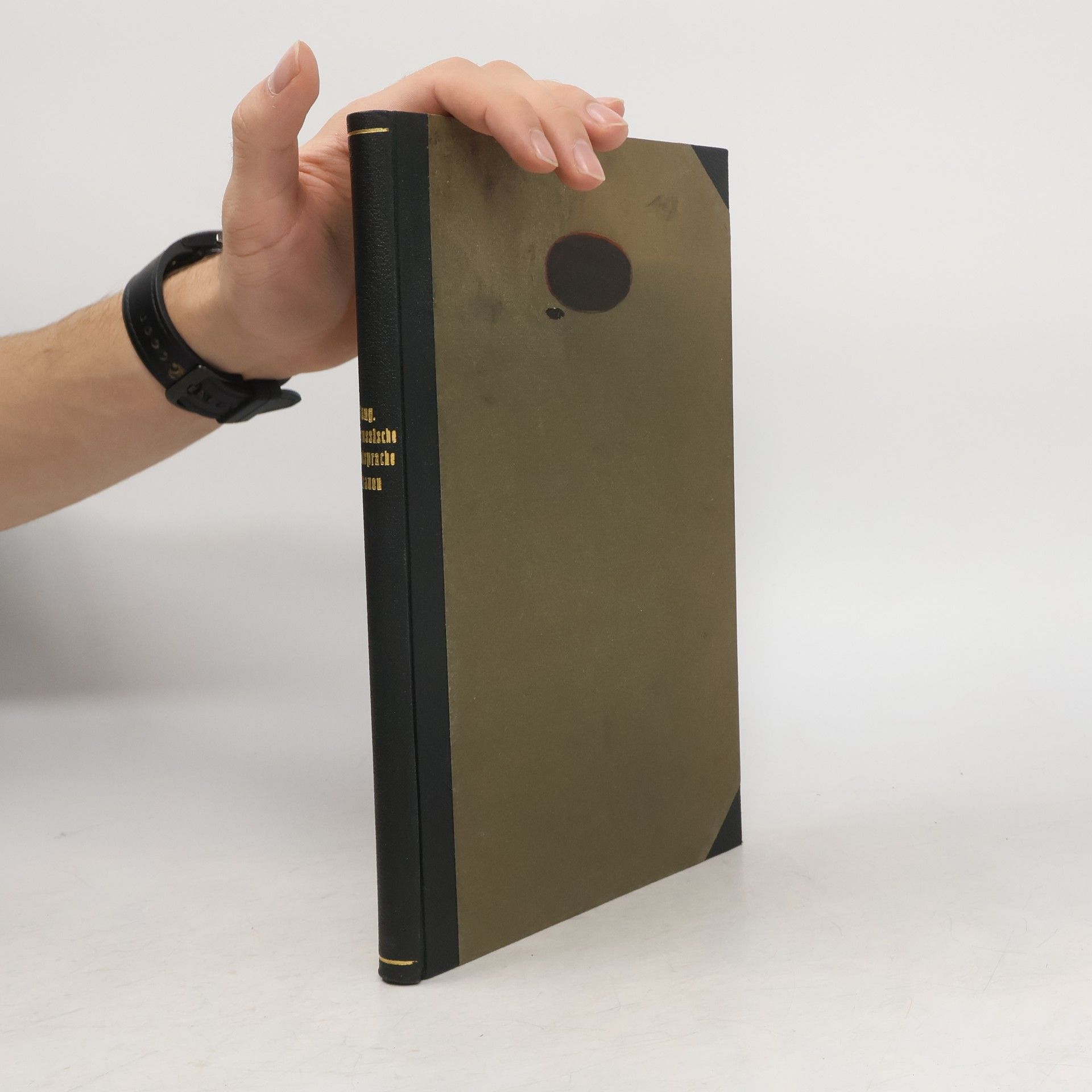 Die Westrussische Kanzleisprache des Grossfürstentums Litauen