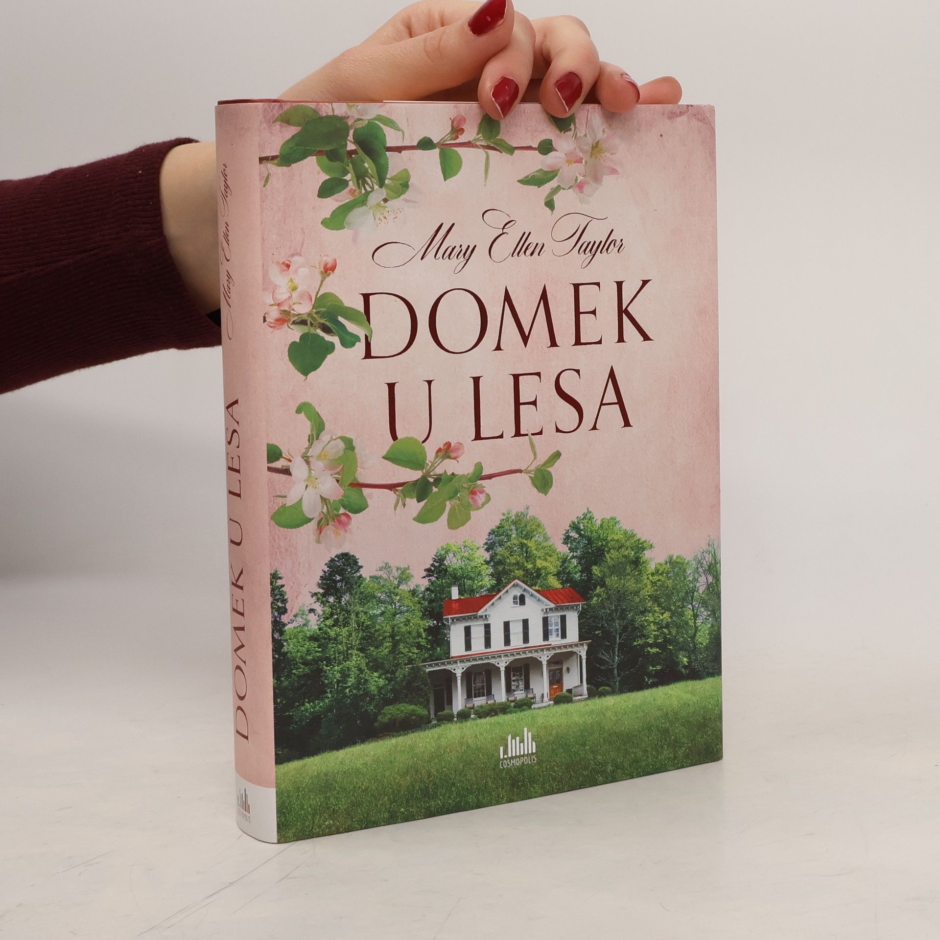 Domek u lesa