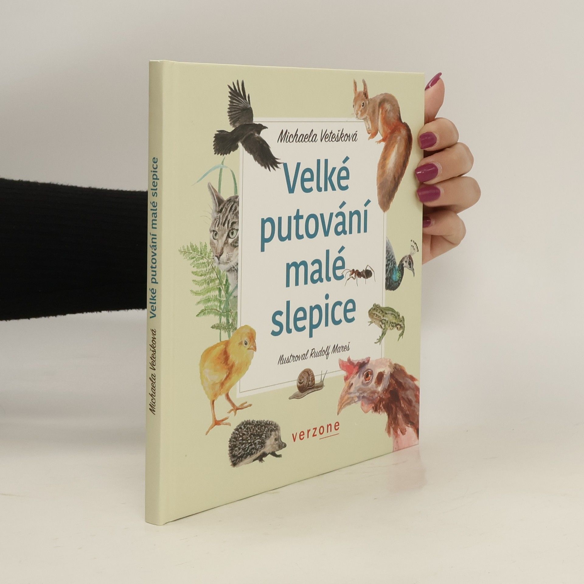 Michaela Vetešková Velké putování malé slepice