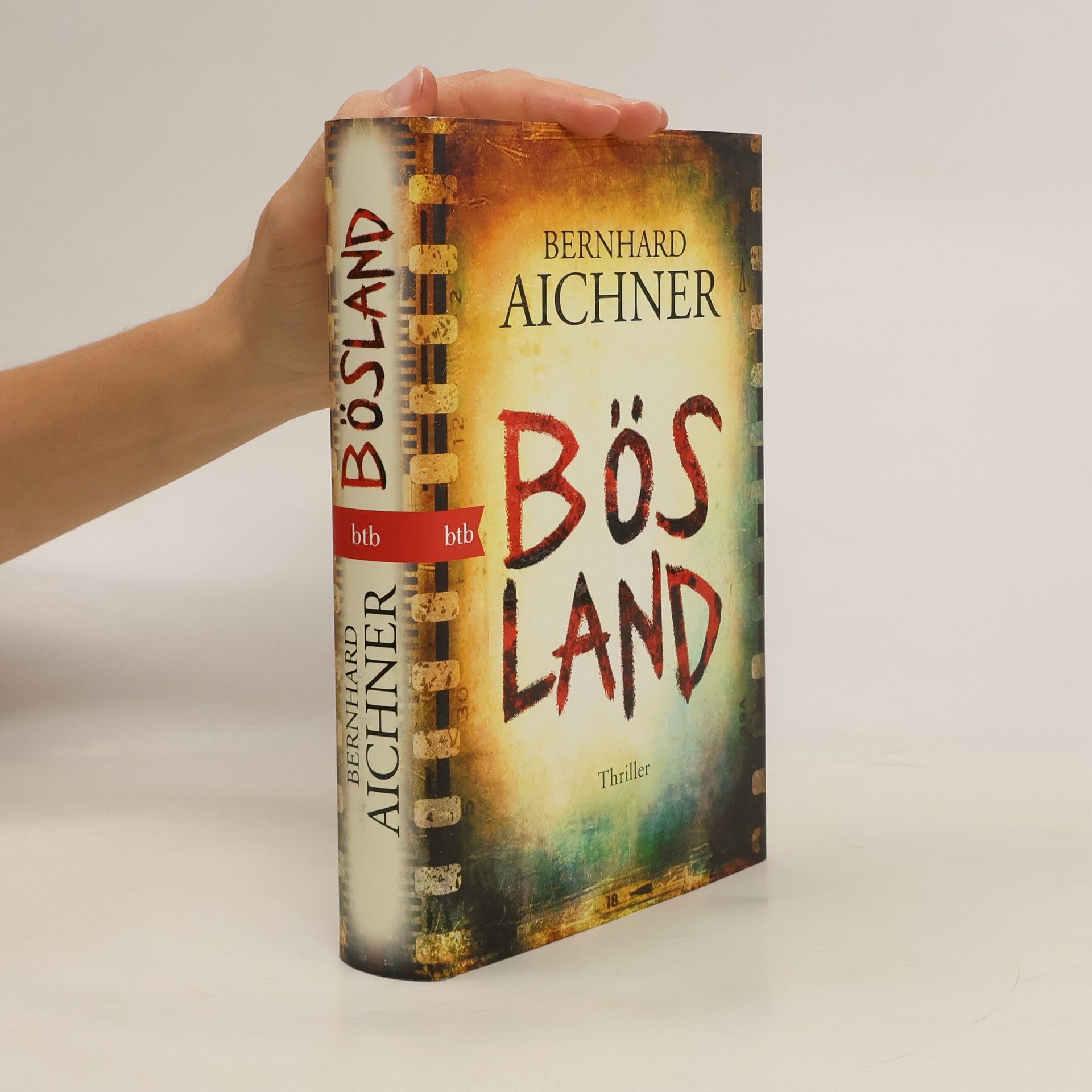 Bernhard Aichner Bösland