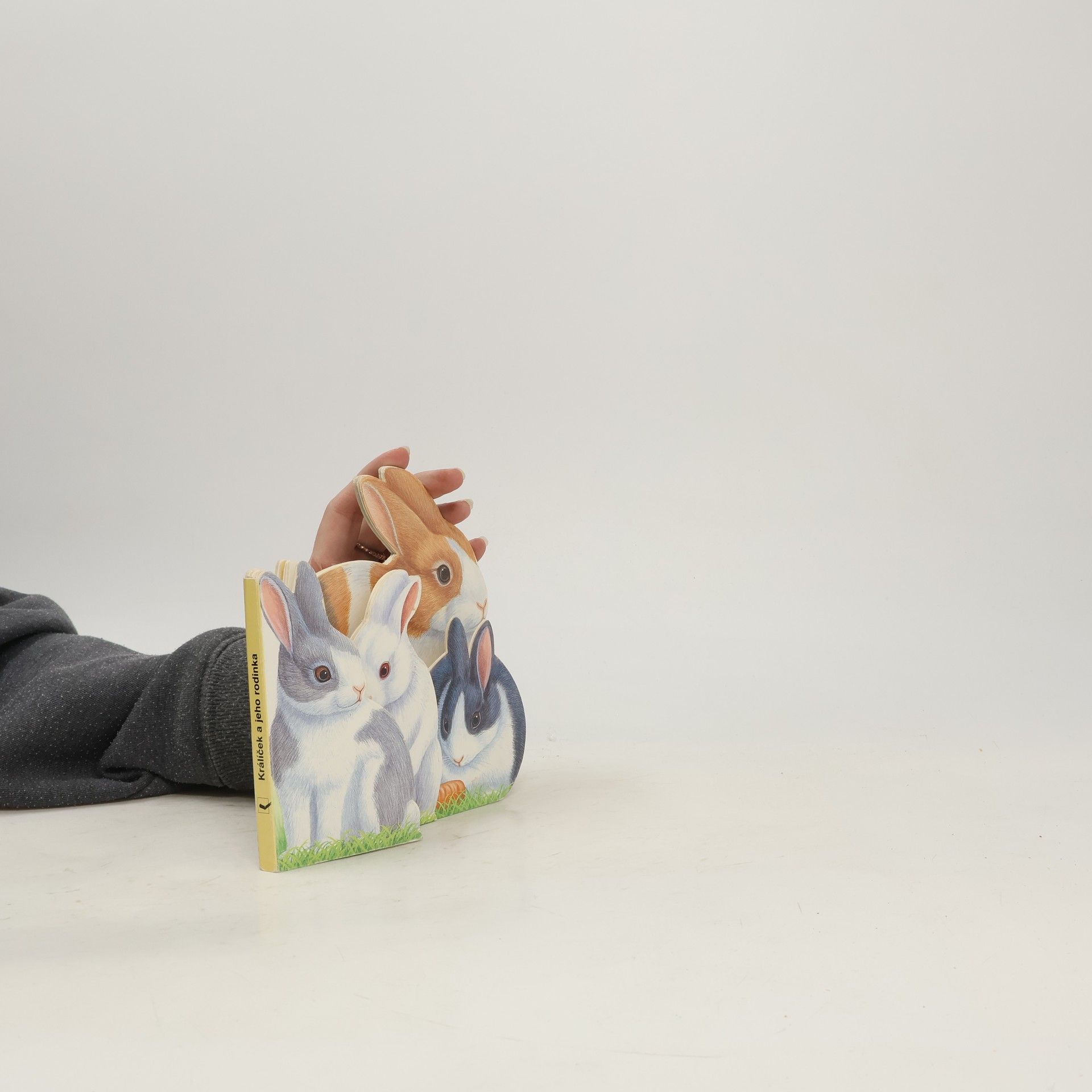 Bob Bampton Králíček a jeho rodina