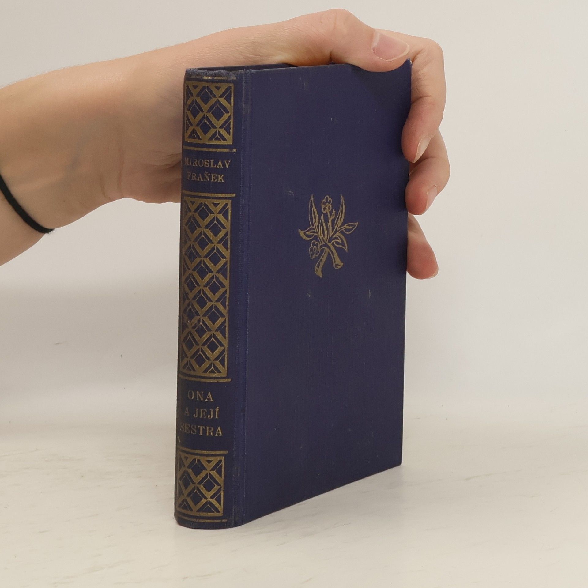 Miroslav Franěk On a její sestra