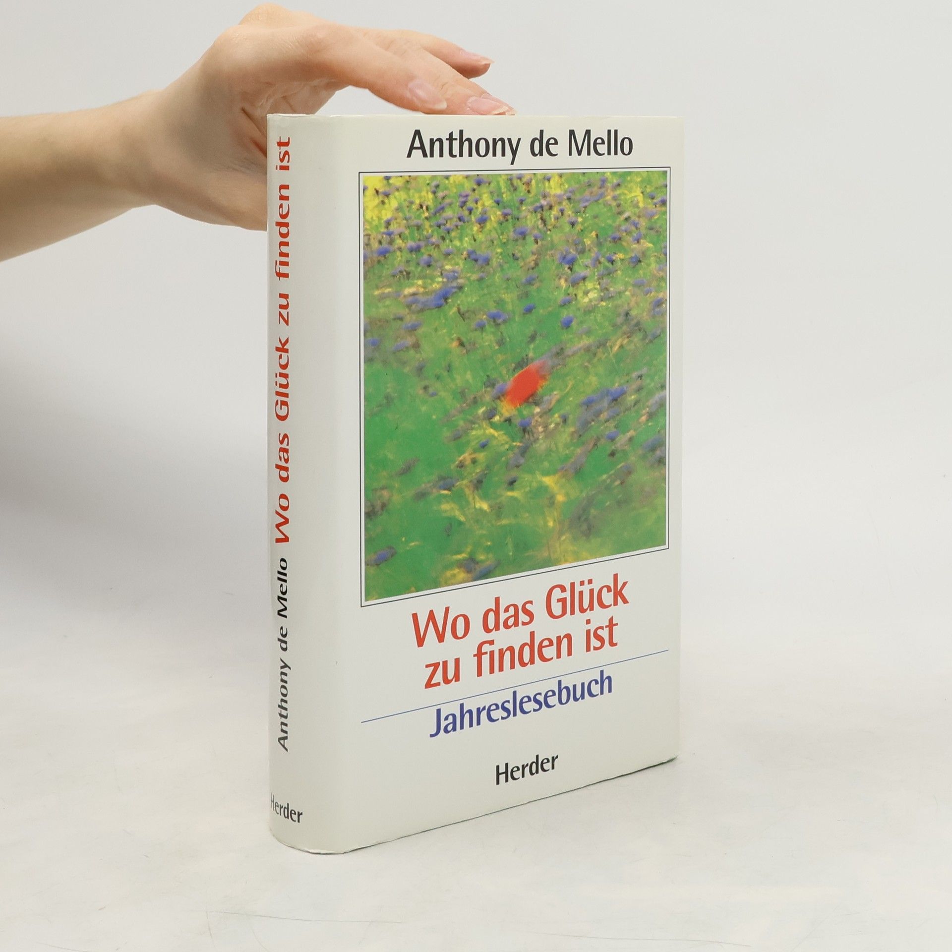 Anthony De Mello Wo das Glück zu finden ist