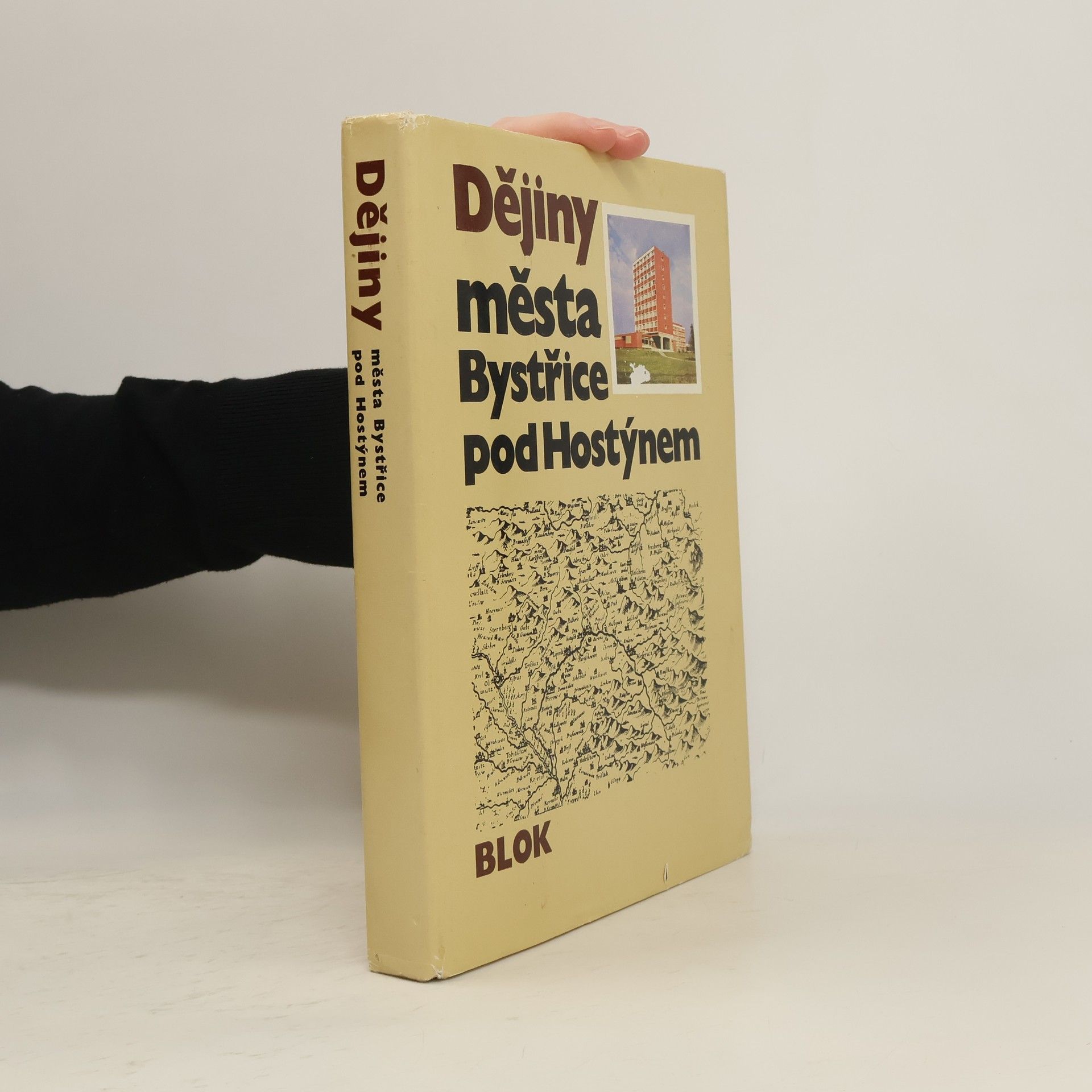 Autorenkollektiv Dějiny města Bystřice pod Hostýnem