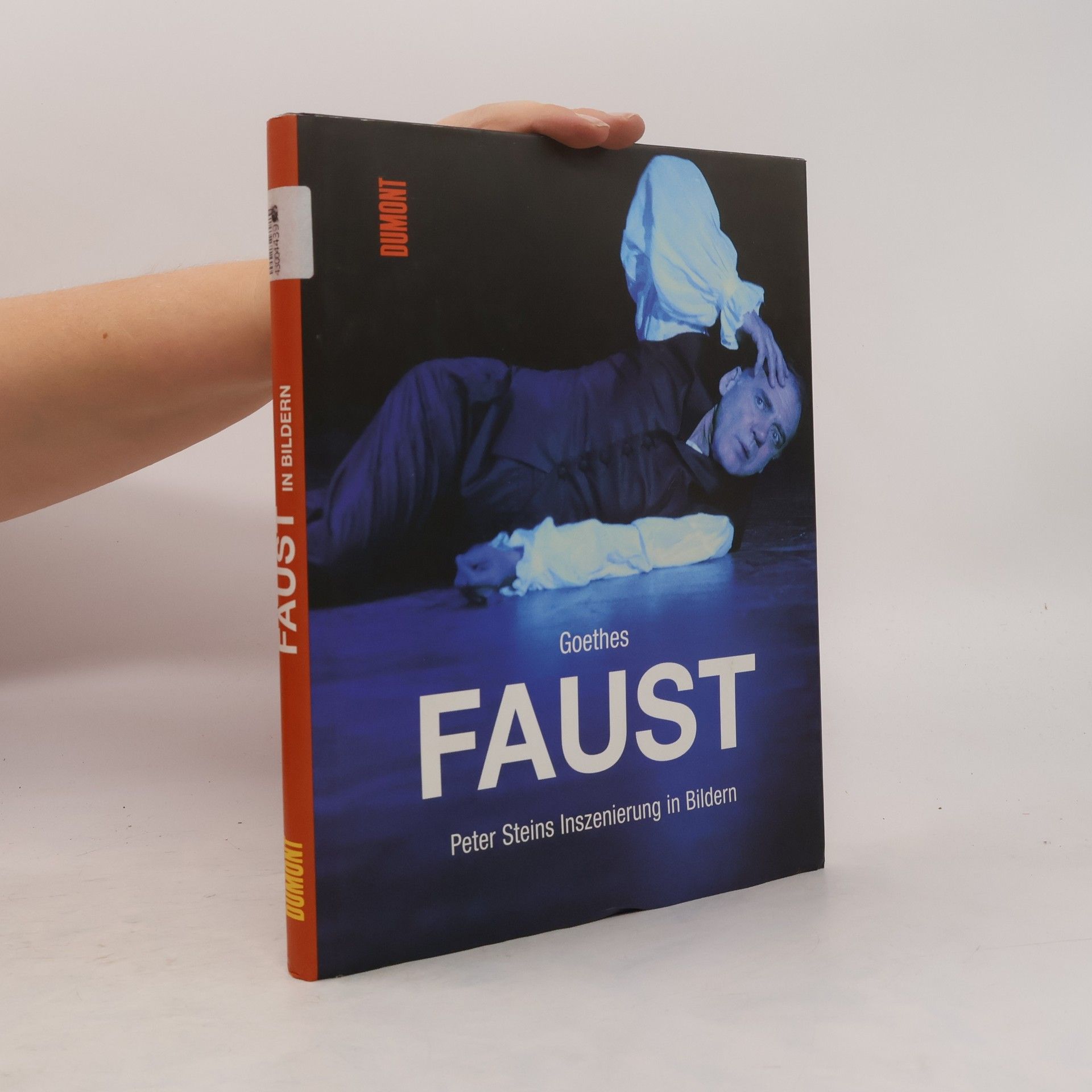 Ruth Walz Goethes Faust