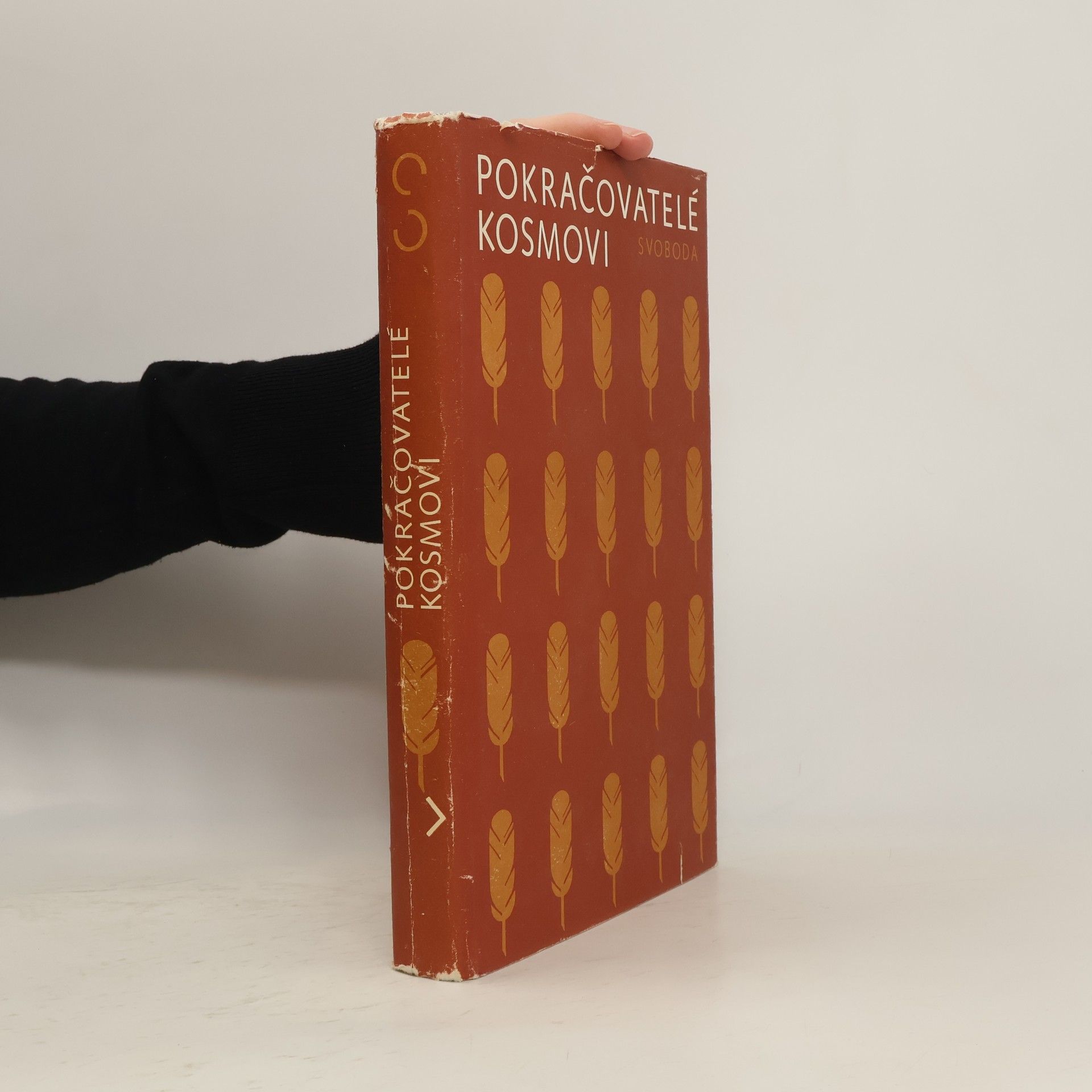 Pokračovatelé Kosmovi