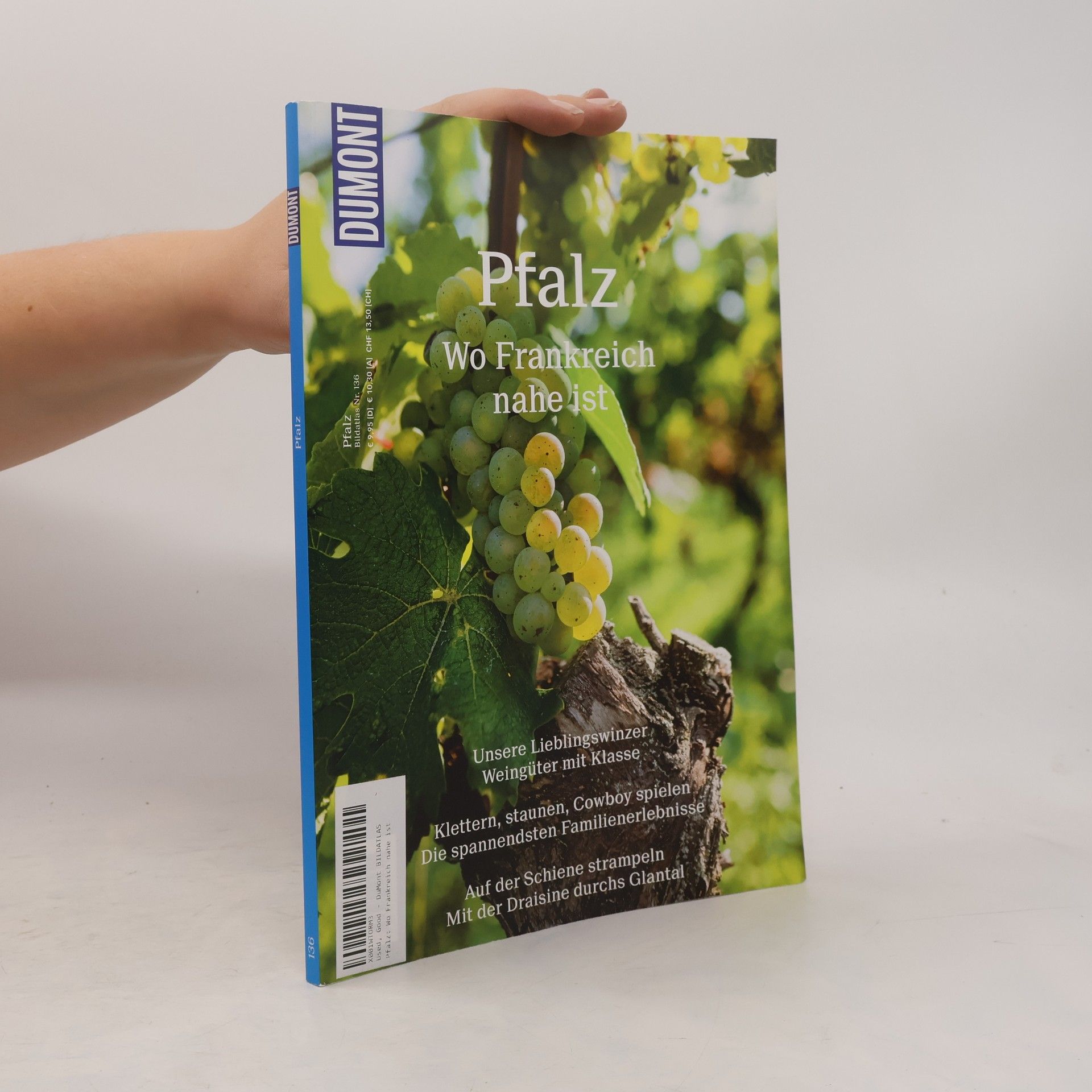 Collectif d'auteurs Pfalz. Wo Frankreich nahe ist