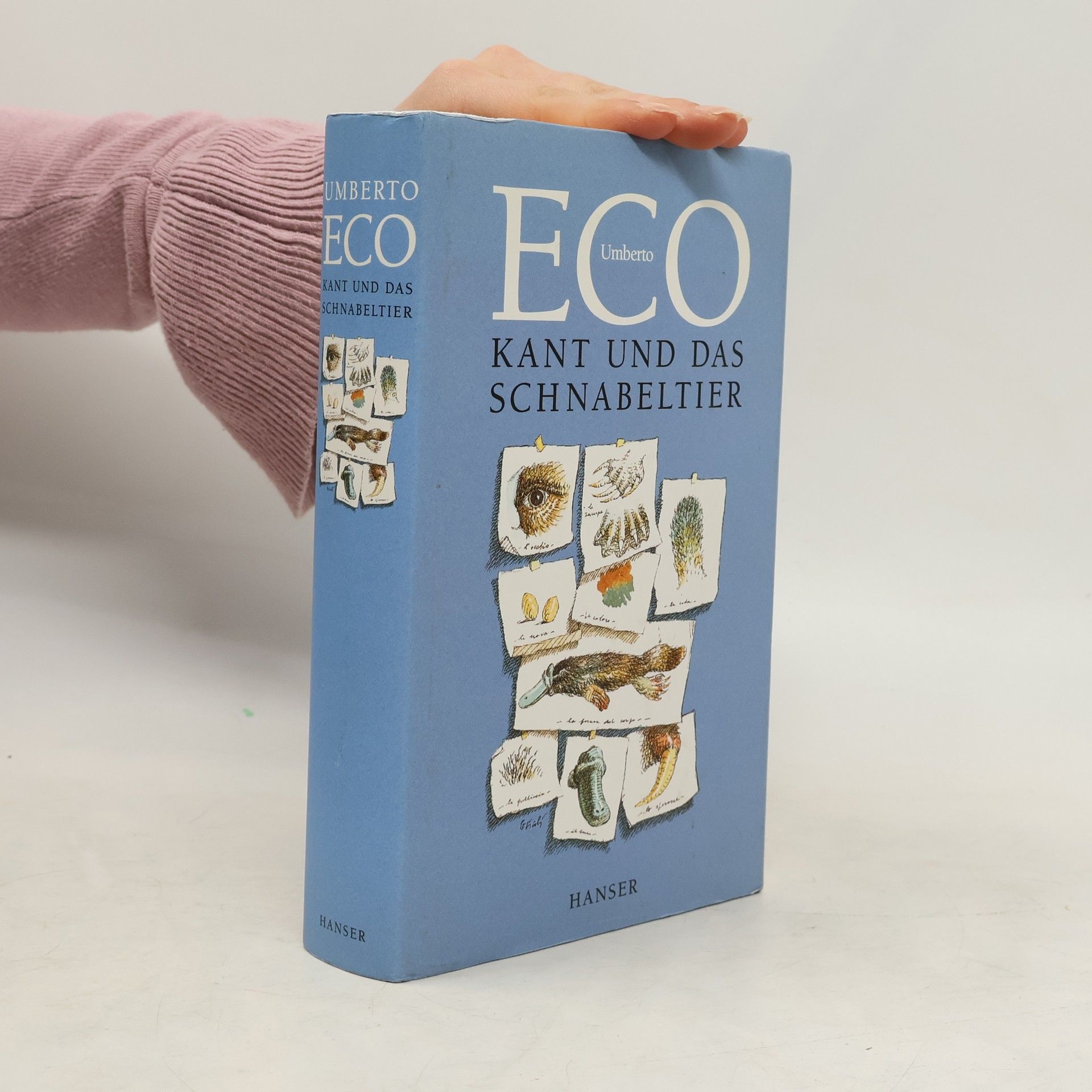 Umberto Eco Kant und das Schnabeltier