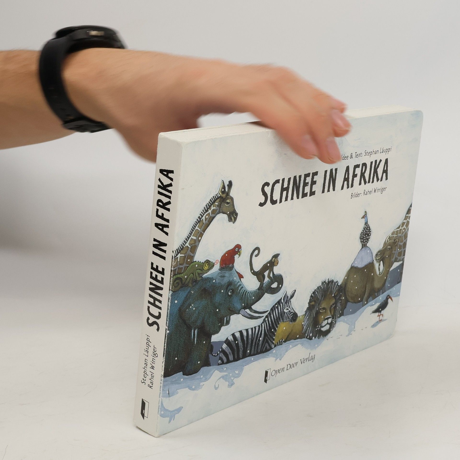 Stephan Läuppi Schnee in Afrika