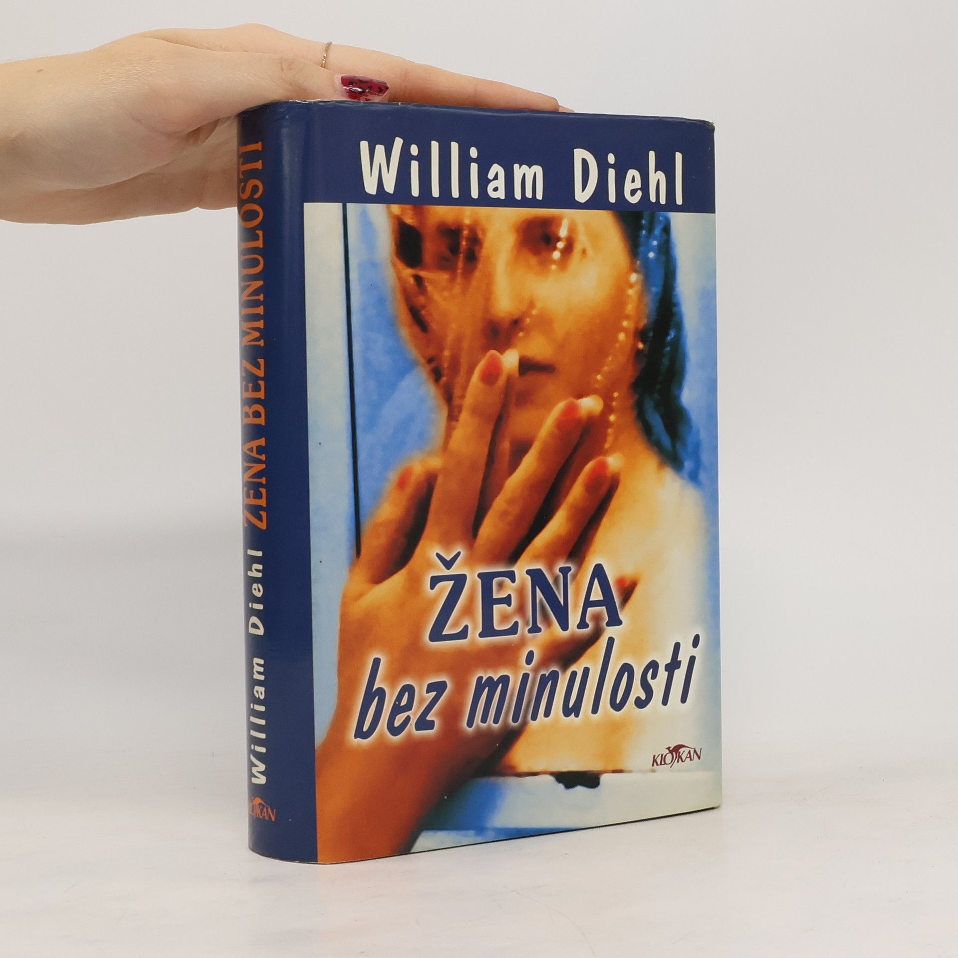 William Diehl Žena bez minulosti