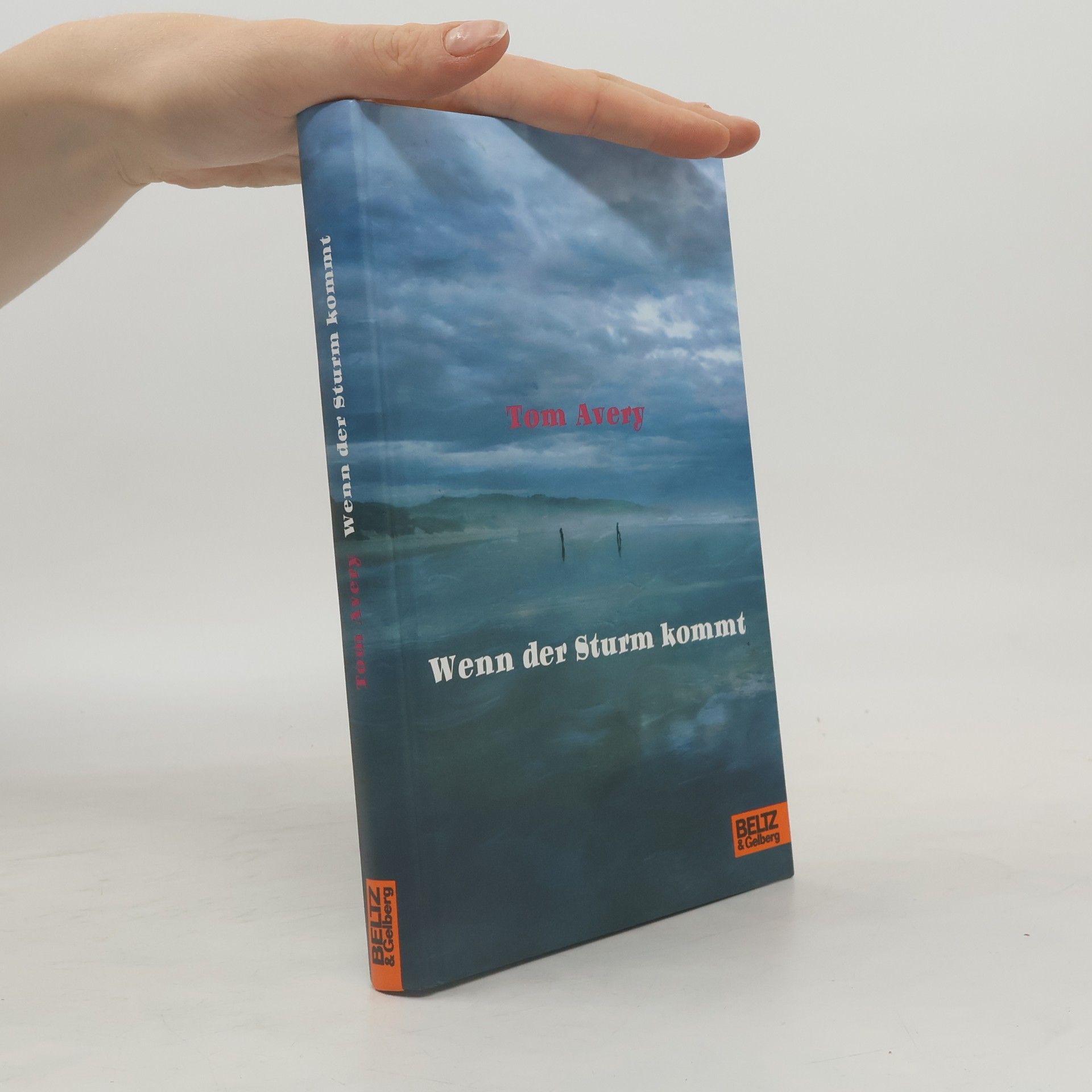 Tom Avery Wenn der Sturm kommt