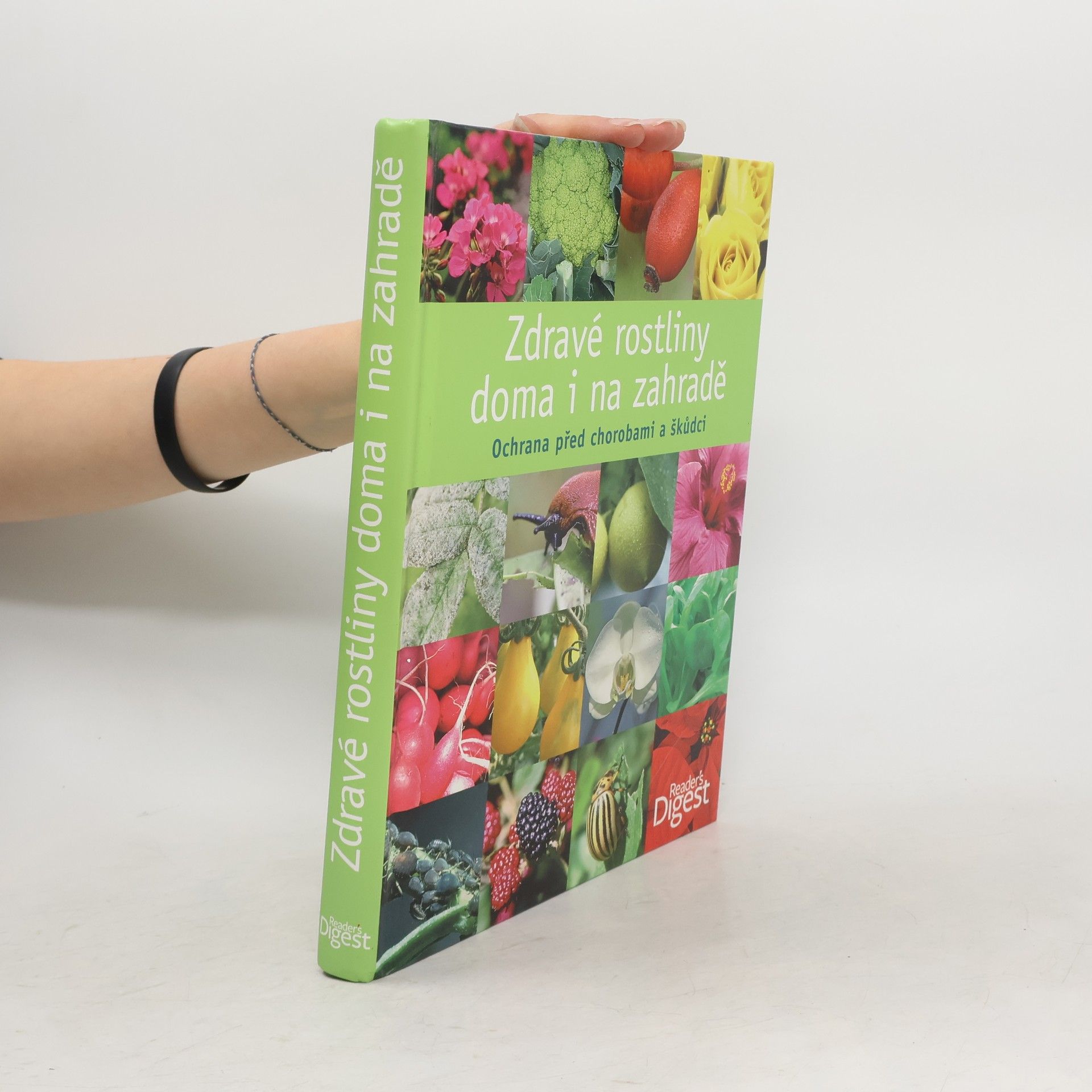 Michael Ernst-Pörksen Zdravé rostliny doma i na zahradě