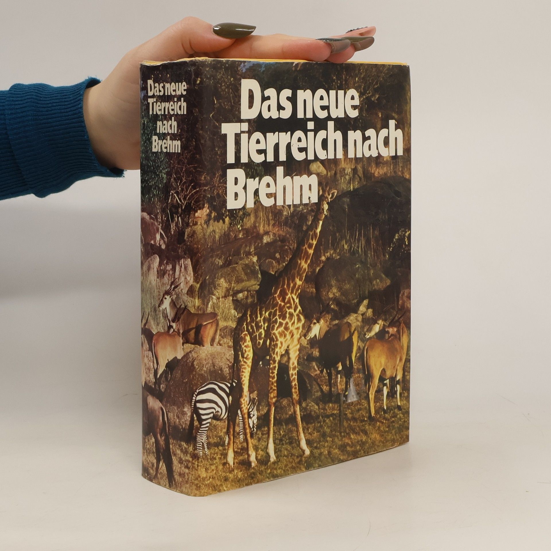 Alfred Edmund Brehm Das neue Tierreich nach Brehm