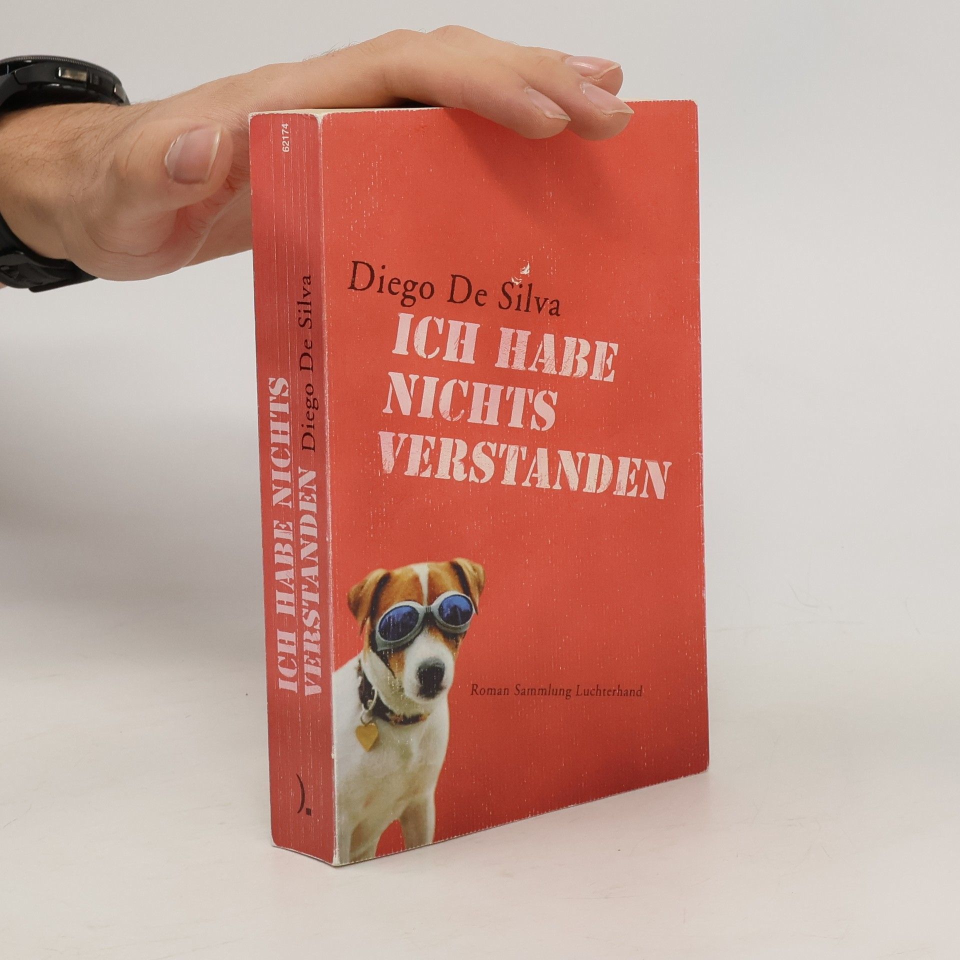 Diego De Silva Ich habe nichts verstanden