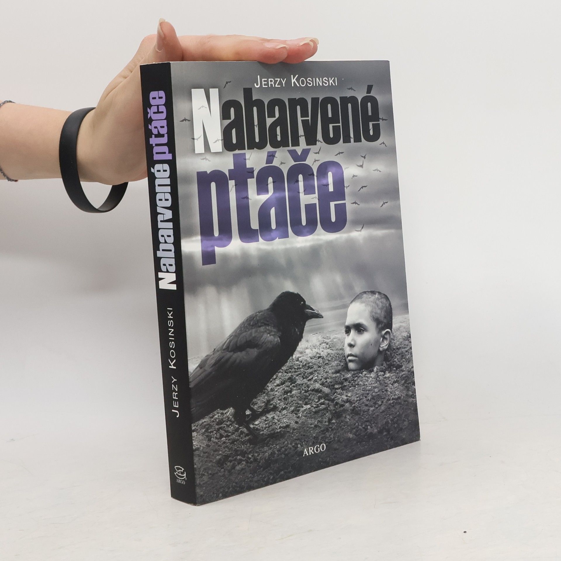 Jerzy Kosinski Nabarvené ptáče