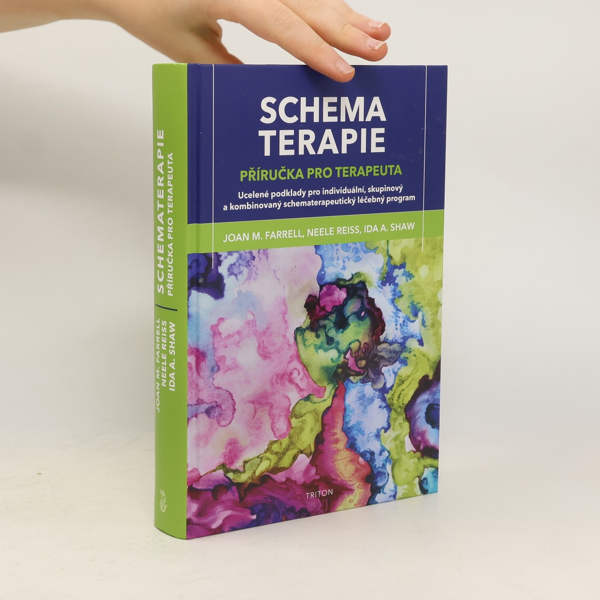 Schematerapie: příručka pro terapeuta