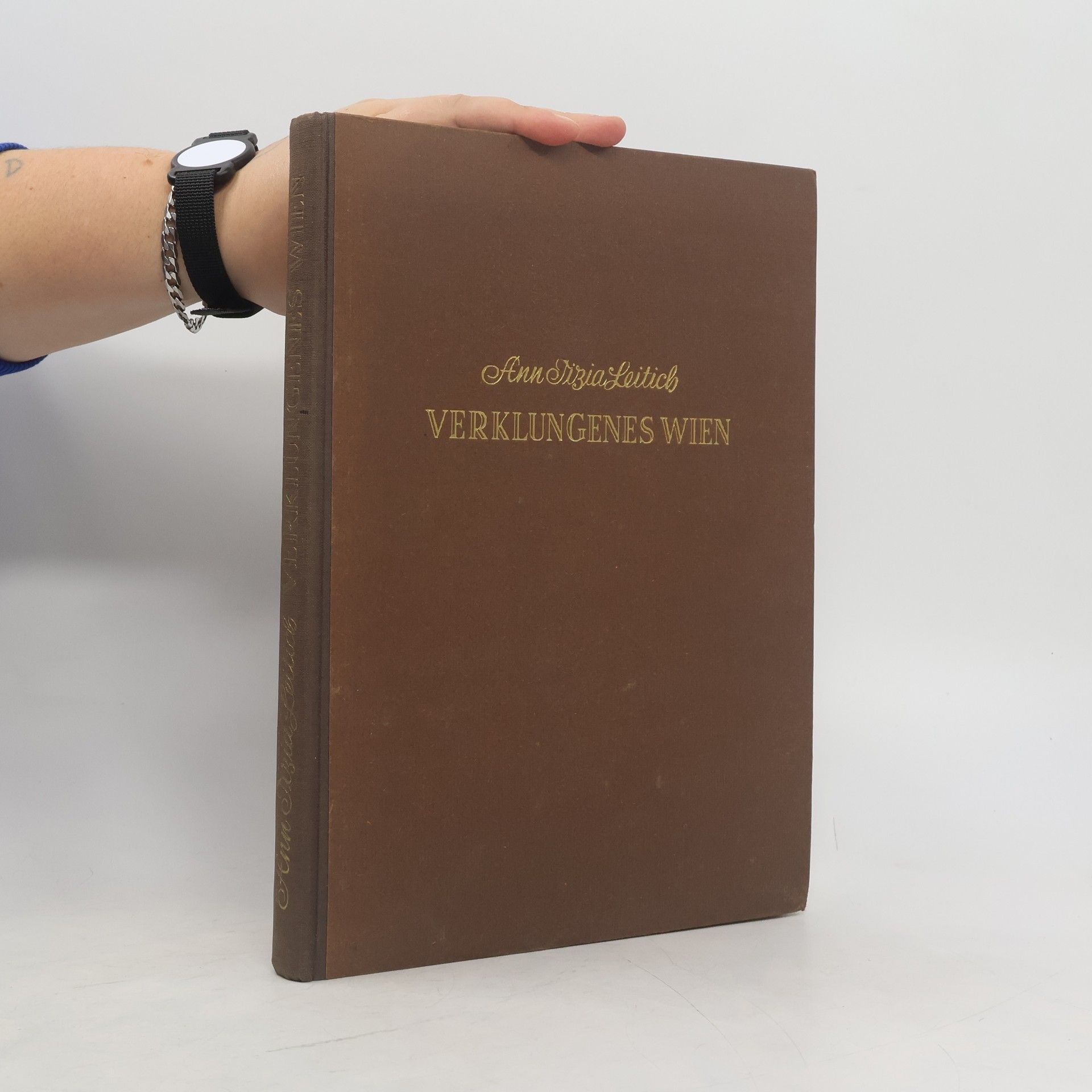 Ann Tizia Leitich Verklungenes Wien