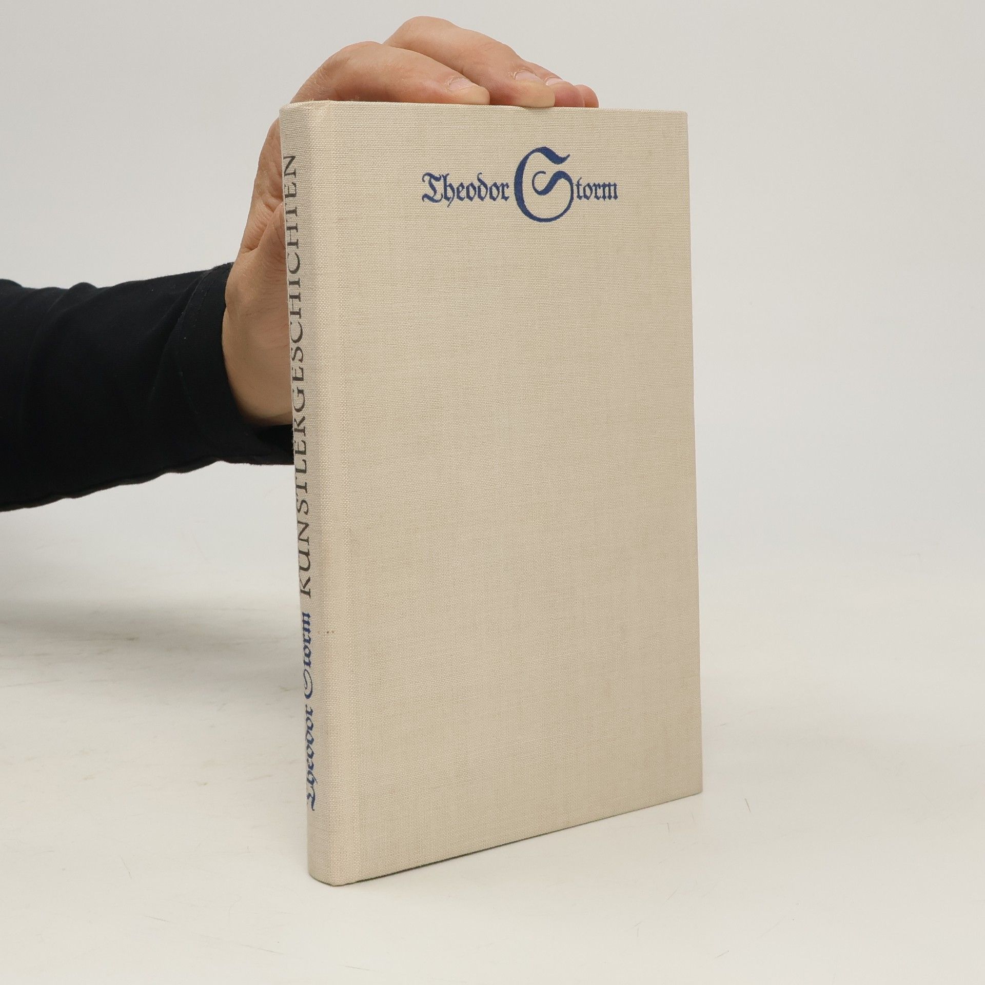 Theodor Storm Künstlergeschichten