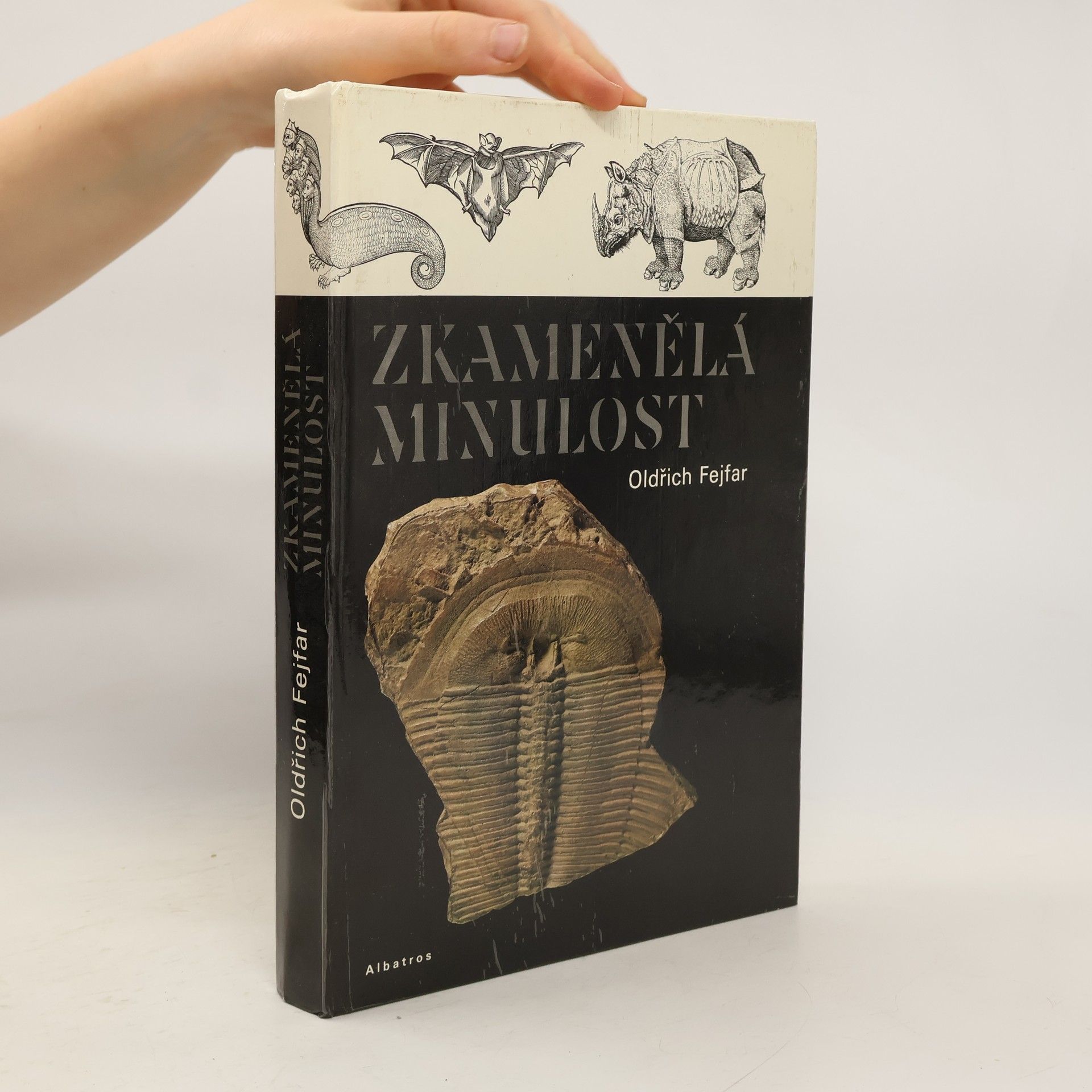 Pavel Štecha Zkamenělá minulost