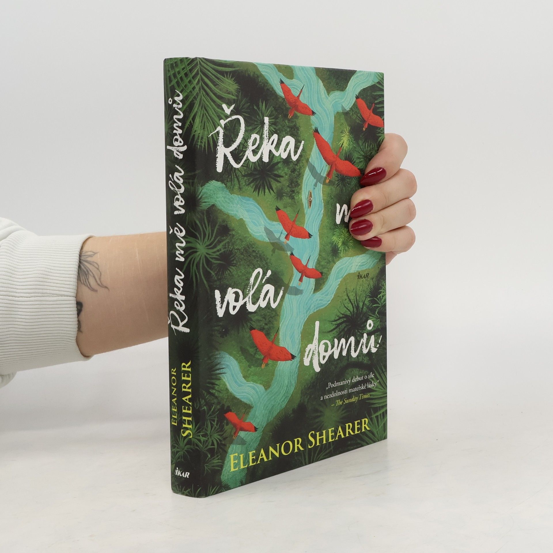 Petra Diestlerová Řeka mě volá domů