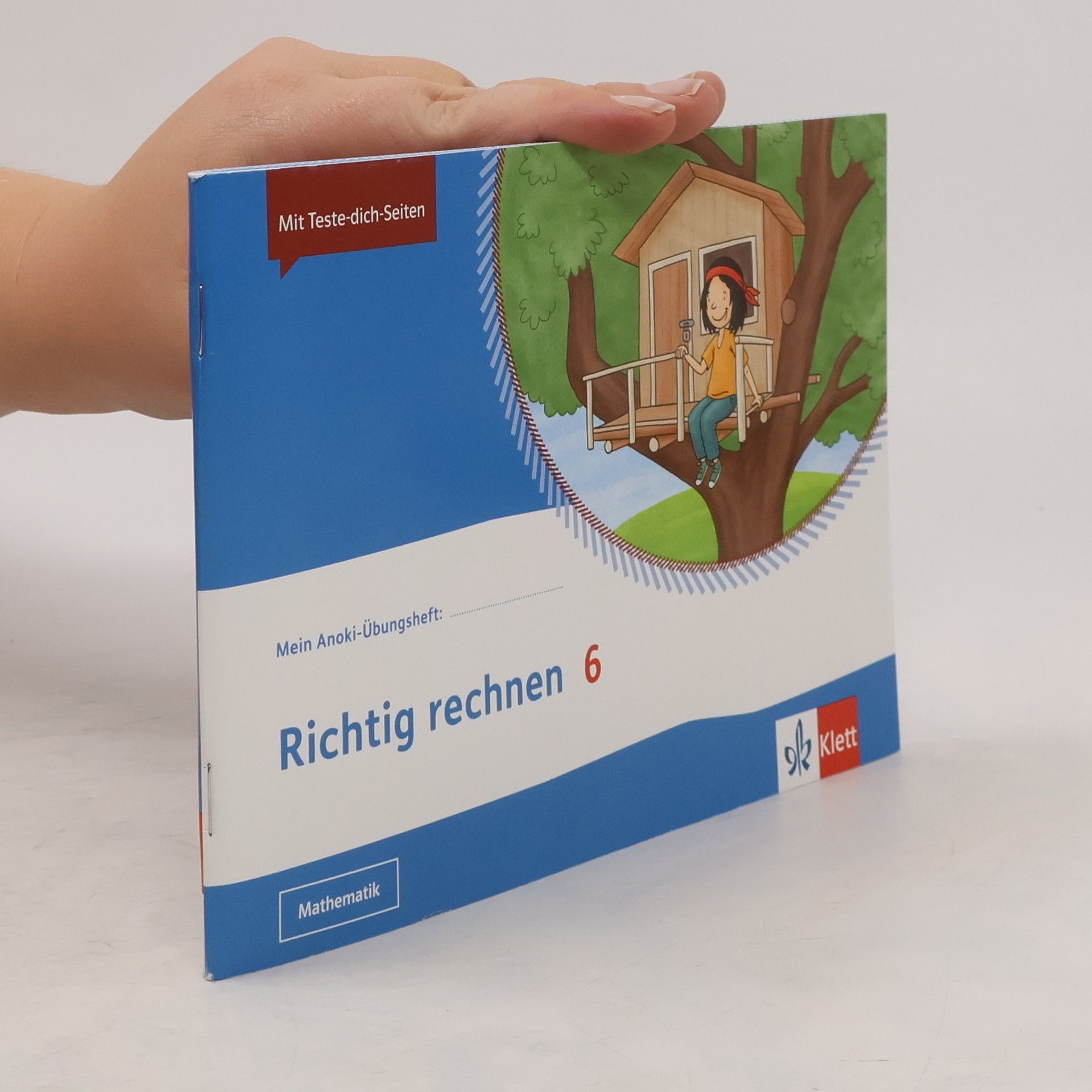 Collectif d'auteurs Richtig rechnen 6