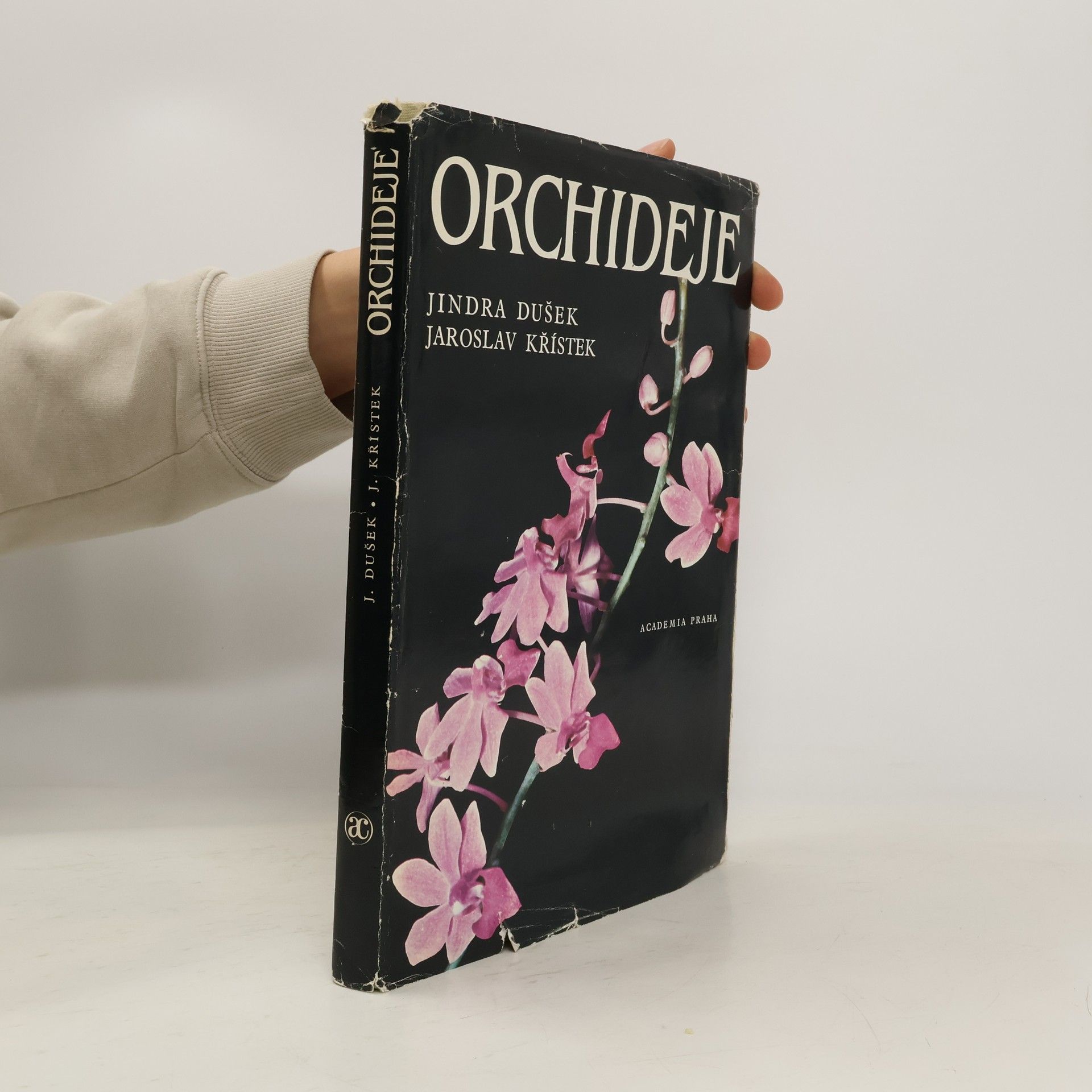 Orchideje