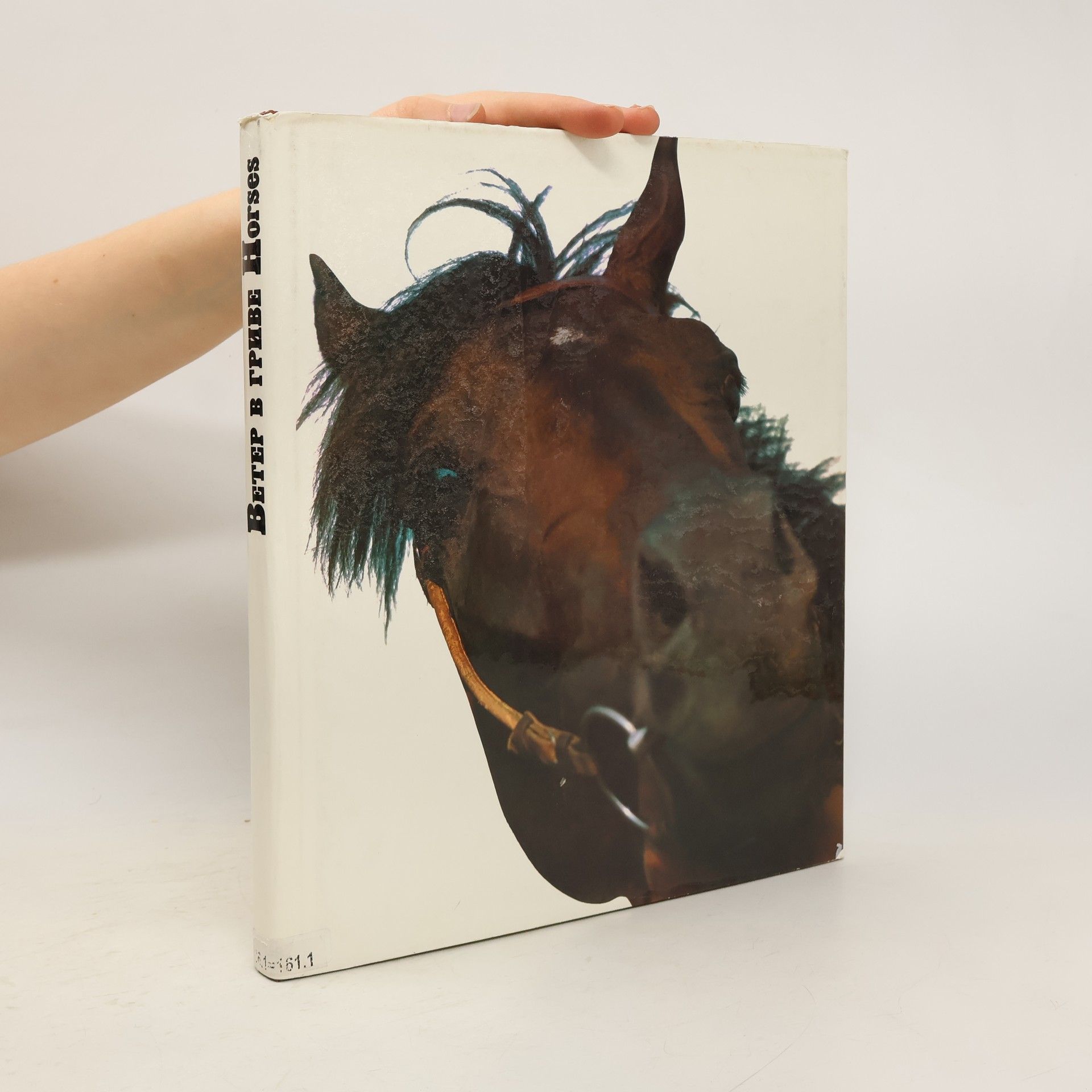 Collectif d'auteurs Ветер в гриве