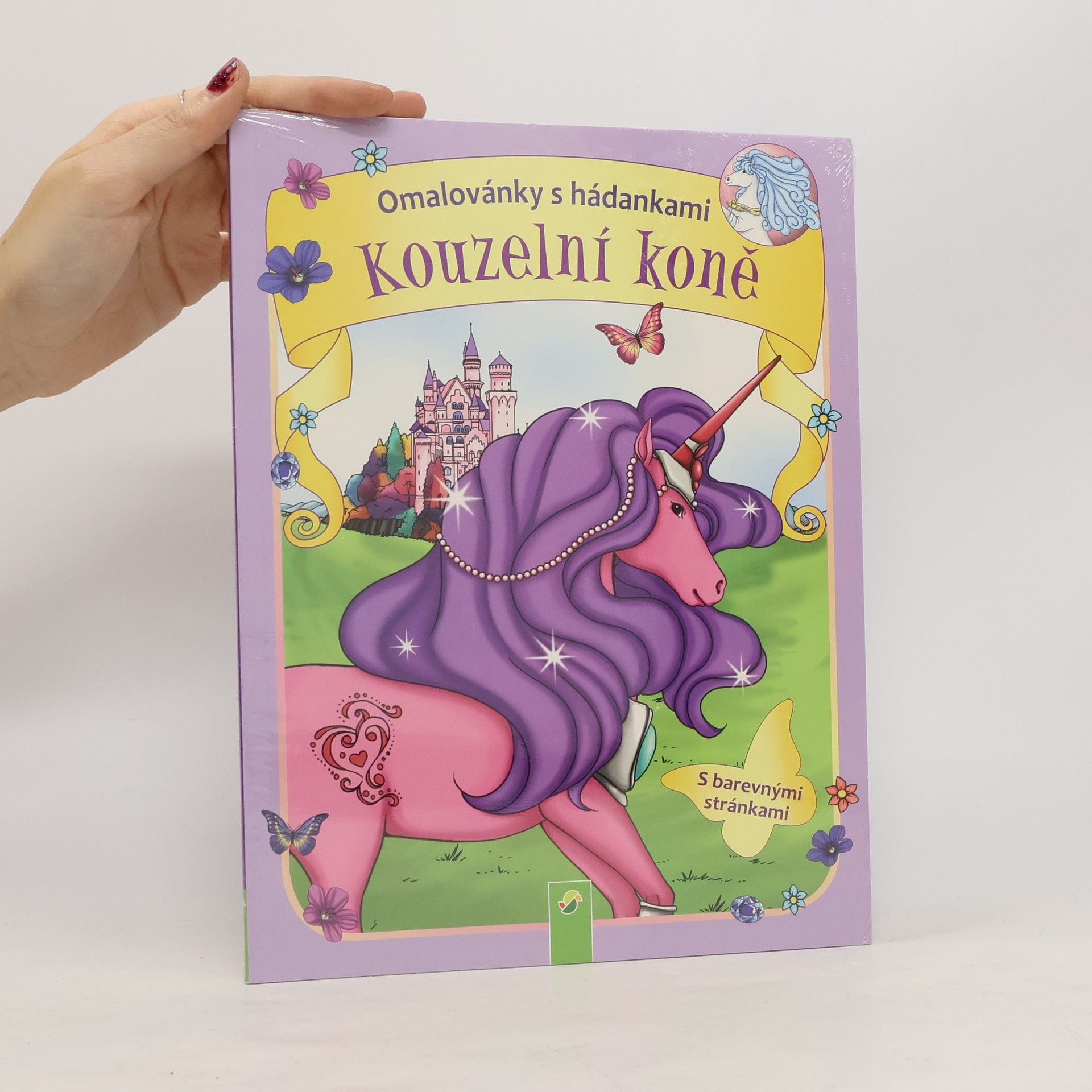 Collectif d'auteurs Omalovánky s hádankami: kouzelní koně