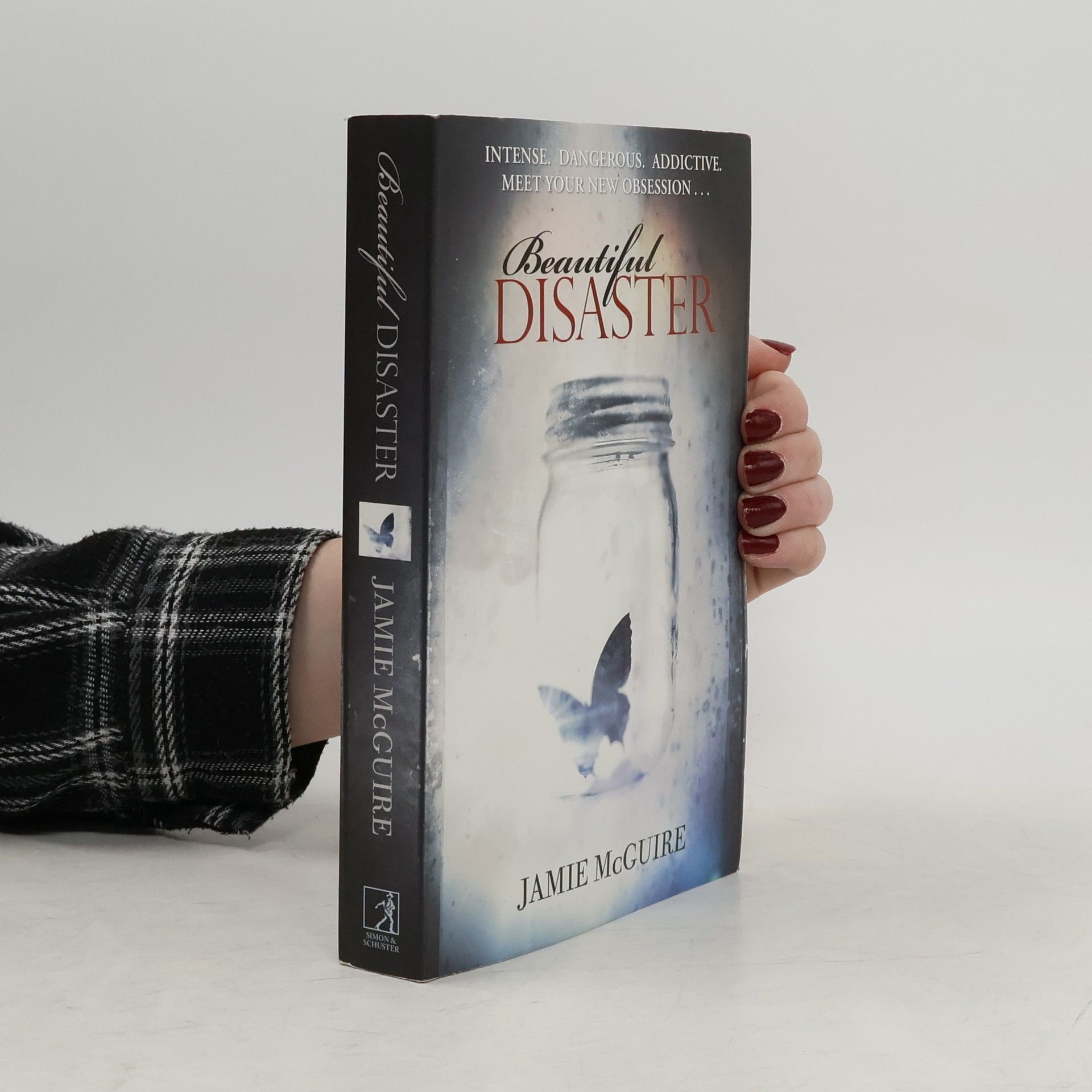 Jamie McGuire Beautiful Disaster