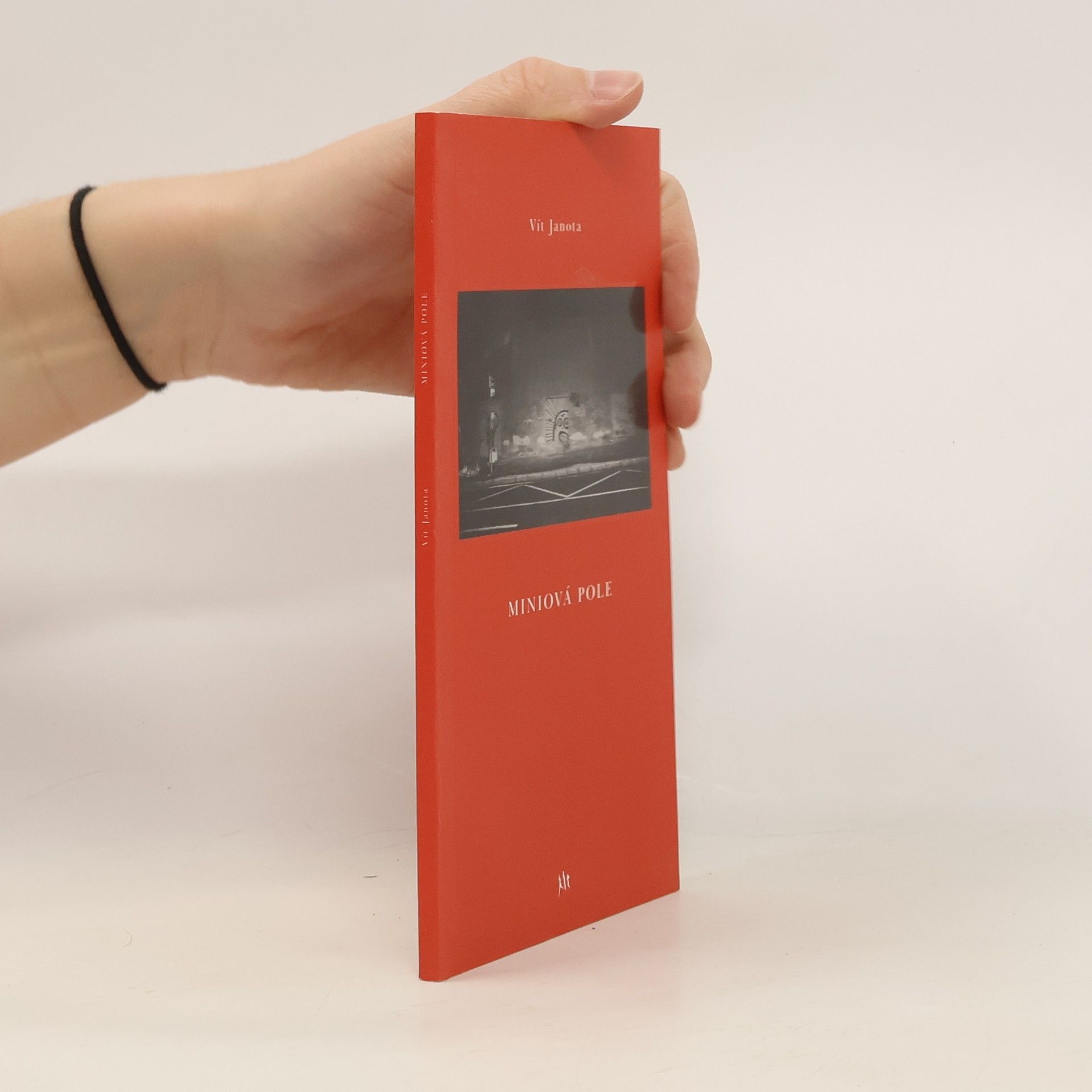 Vít Janota Miniová pole