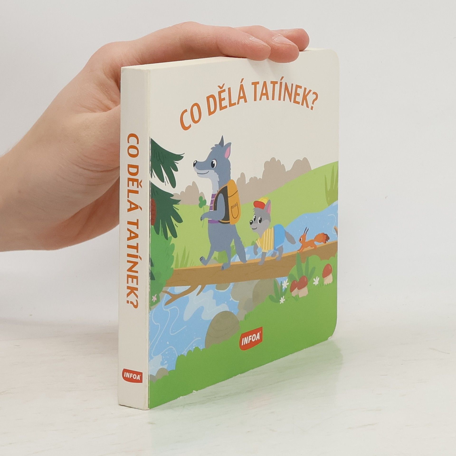 Kolektiv autorů Co dělá tatínek?