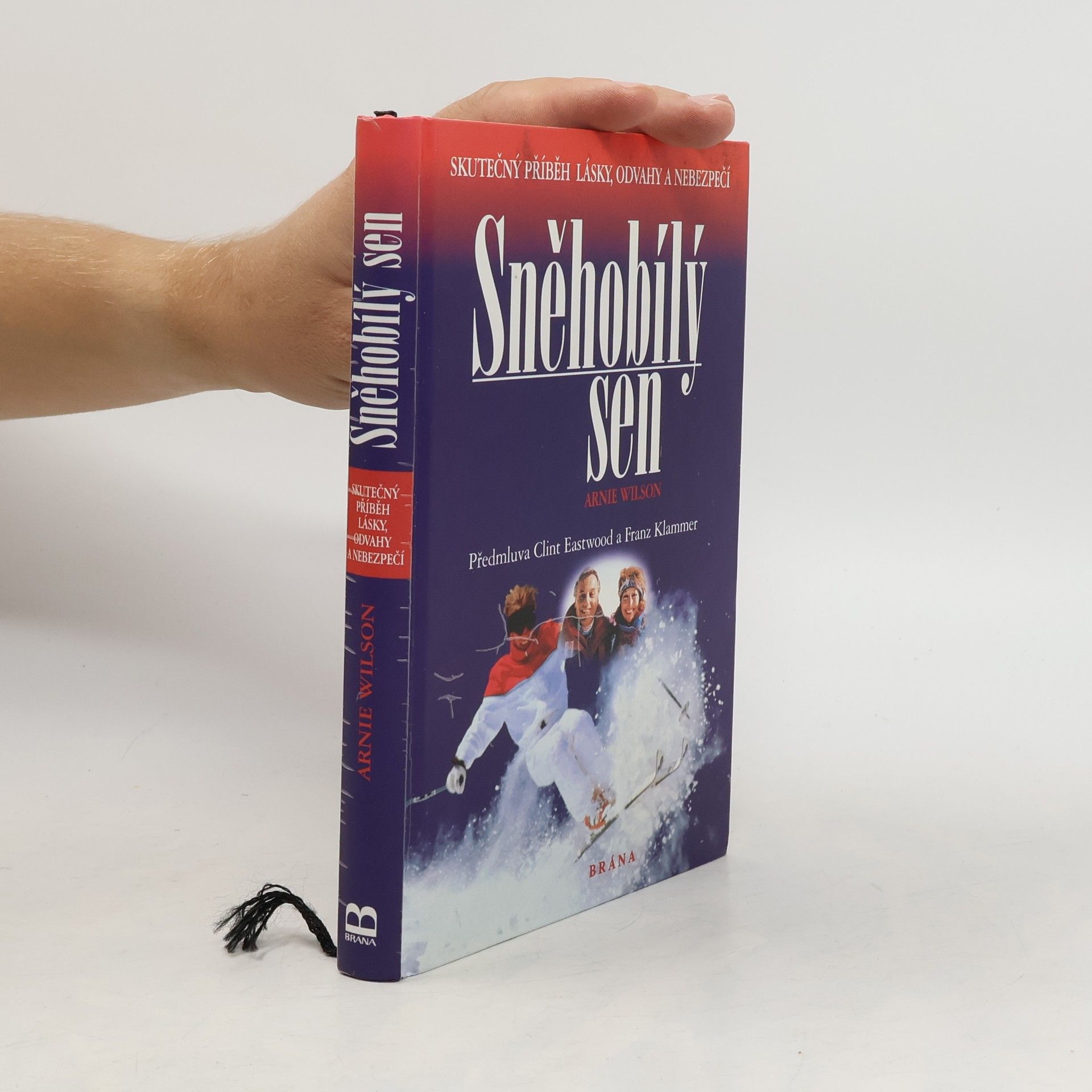 Arnie Wilson Sněhobílý sen