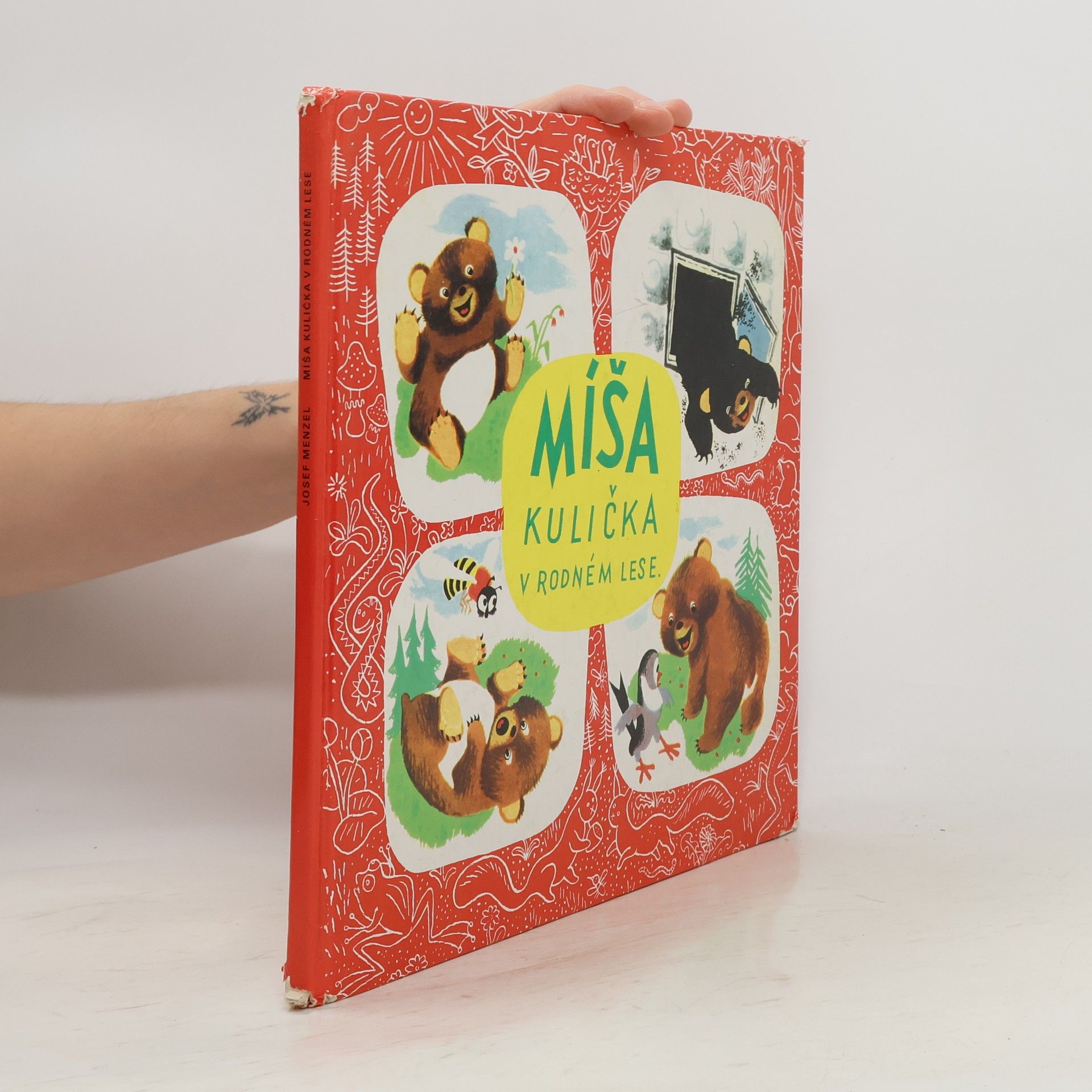 Míša Kulička v rodném lese