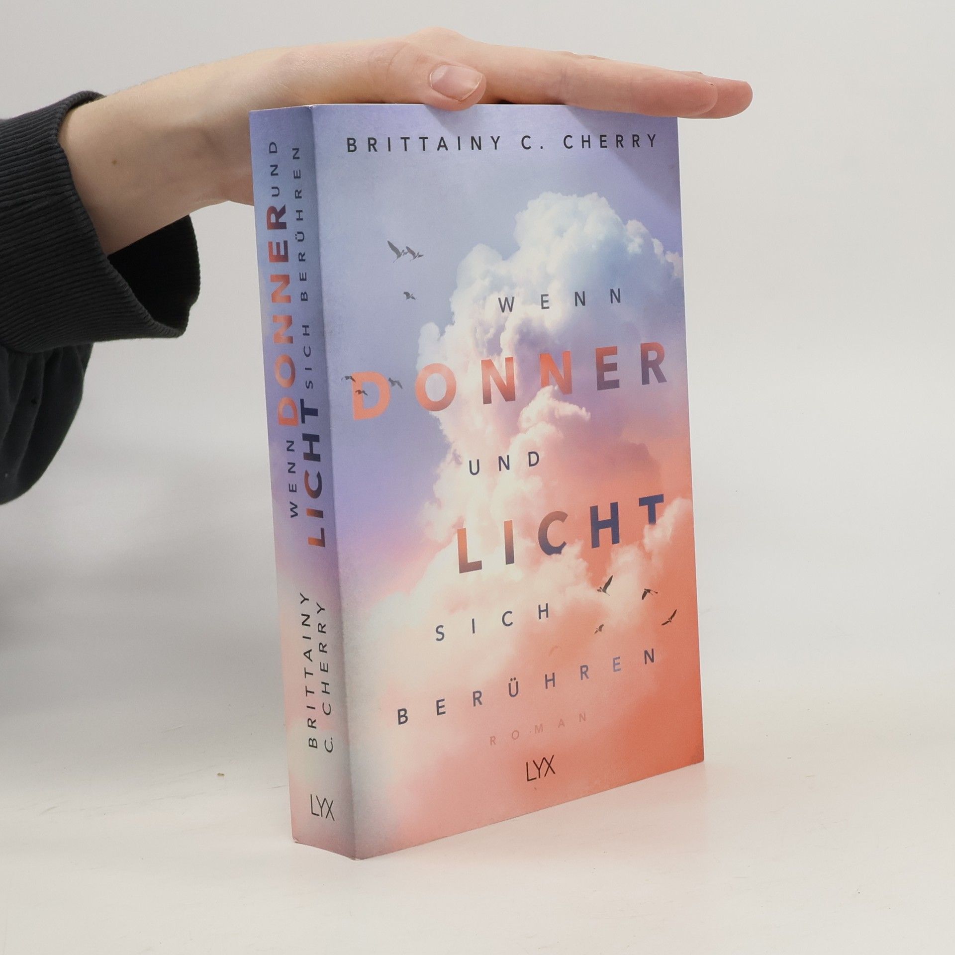 Brittainy C. Cherry Wenn Donner und Licht sich berühren