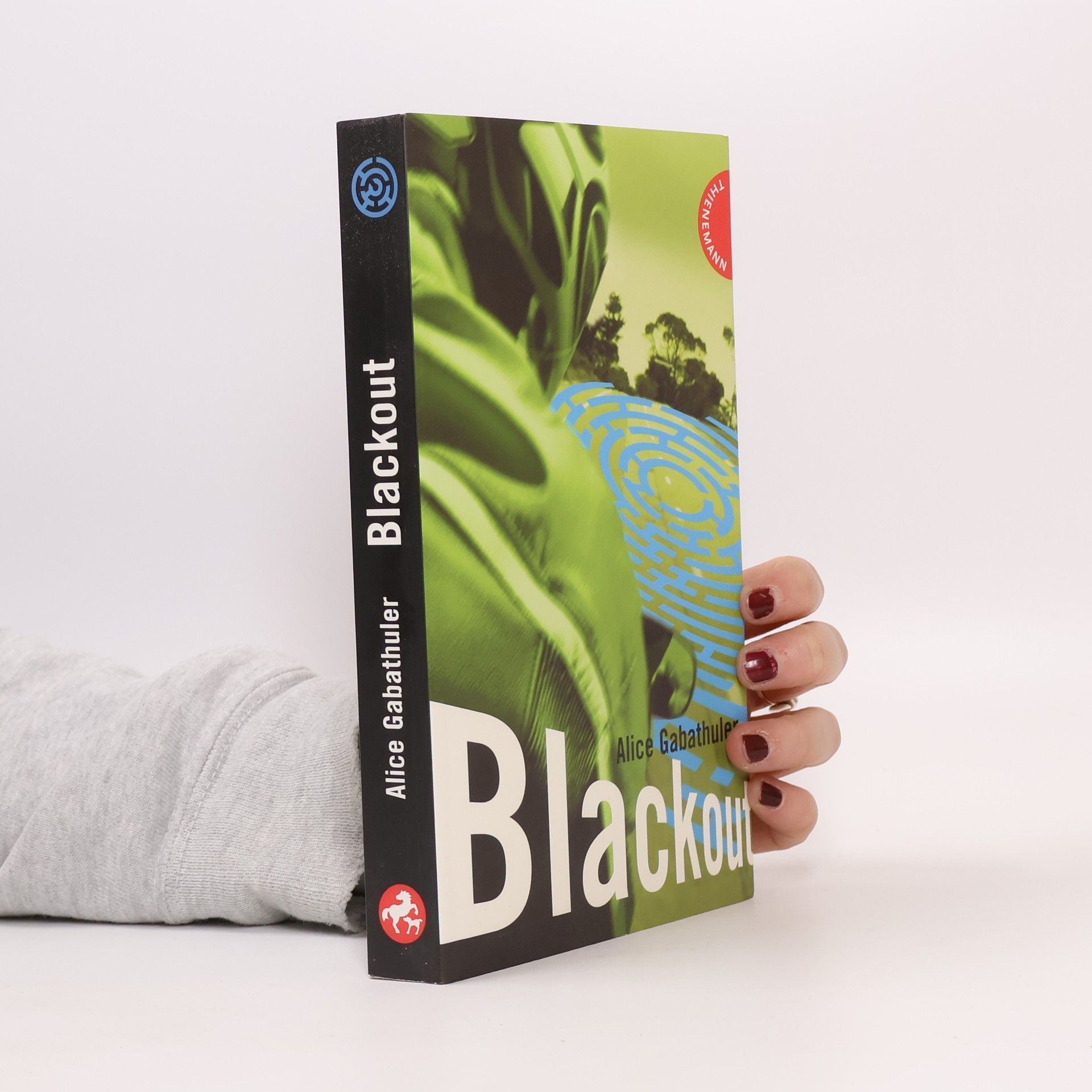 Alice Gabathuler Blackout