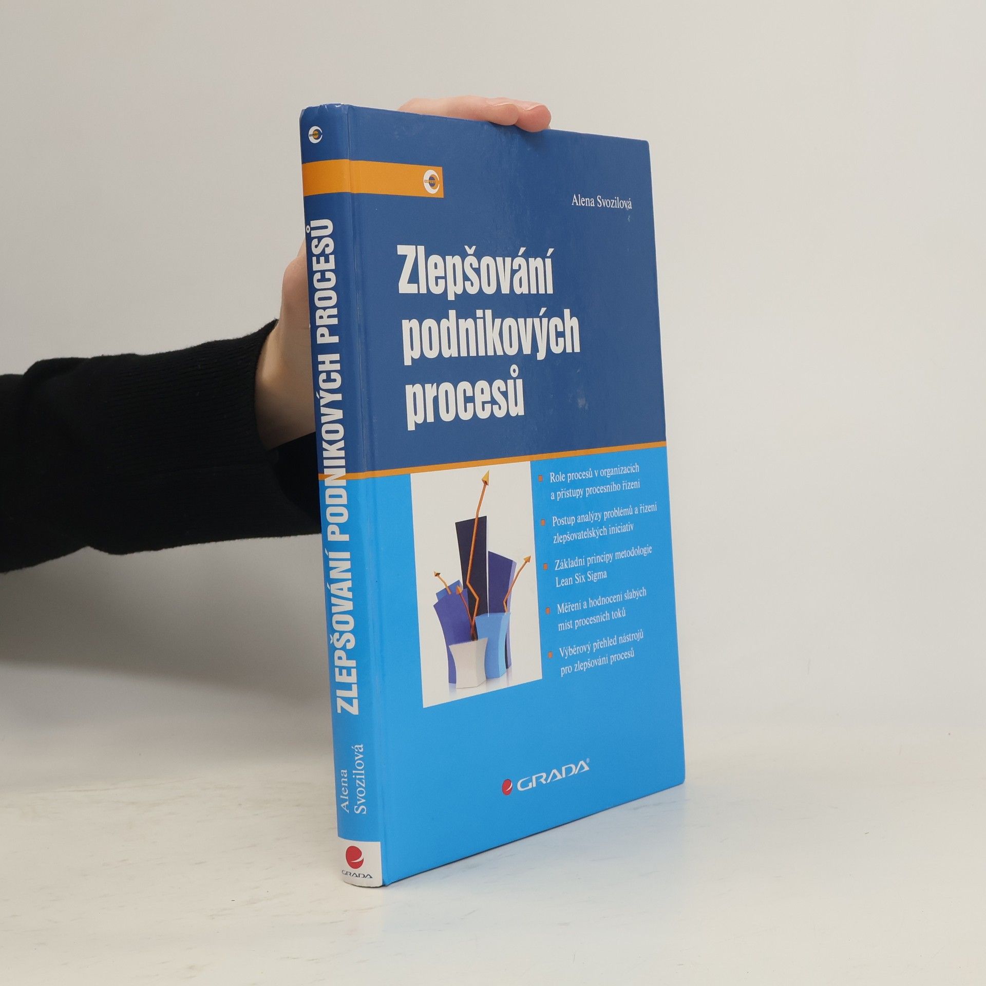 Zlepšování podnikových procesů