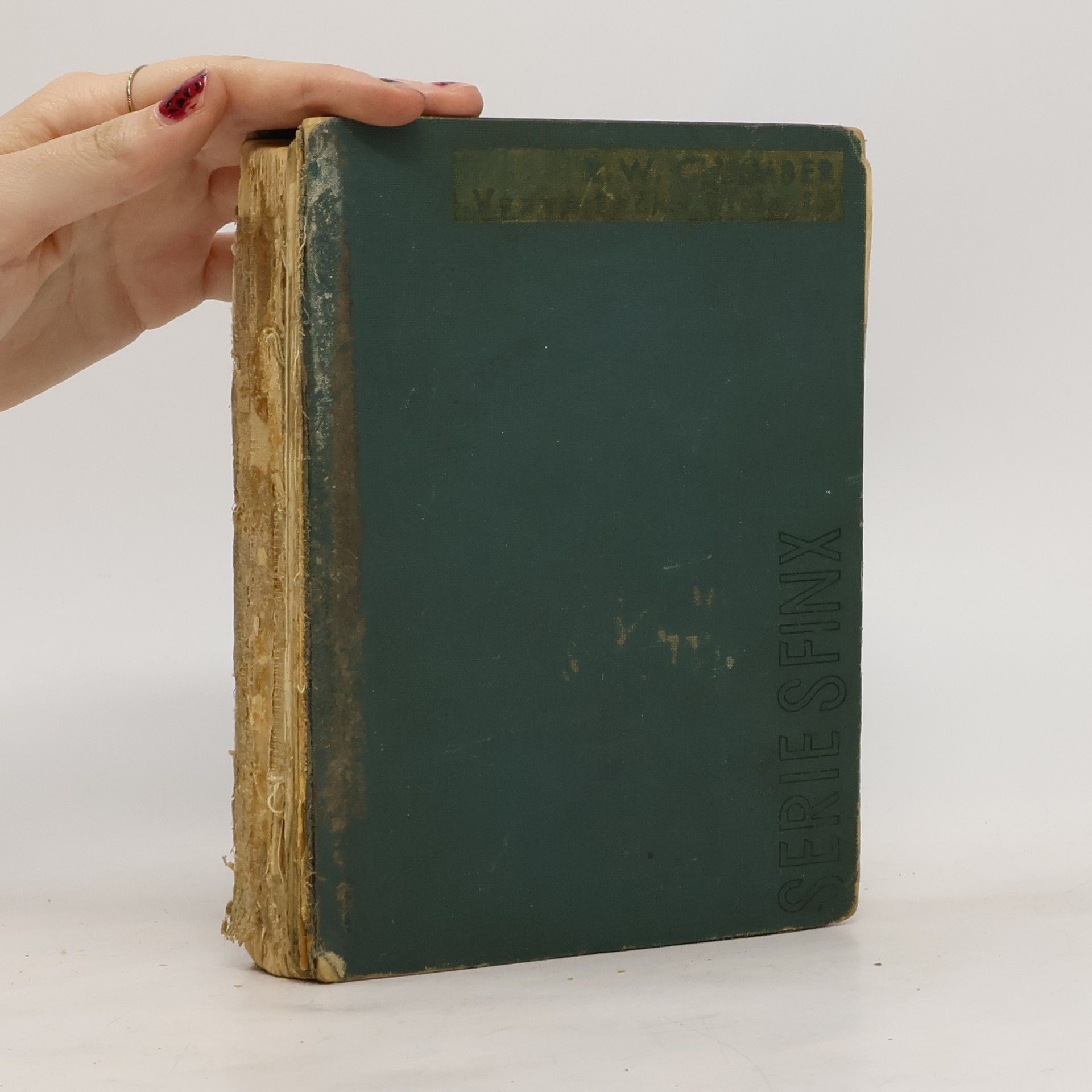 Robert William Chambers Vyzvědačka číslo 13