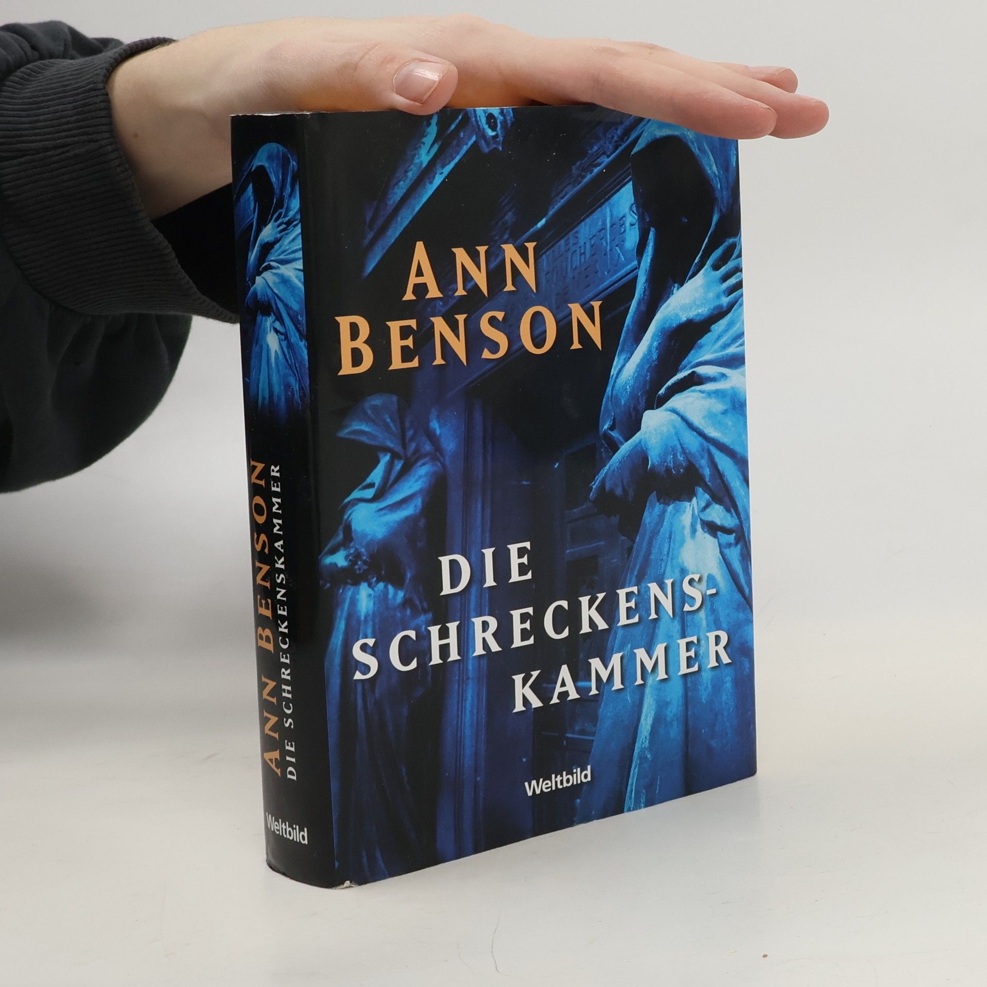 Ann Benson Die Schreckenskammer
