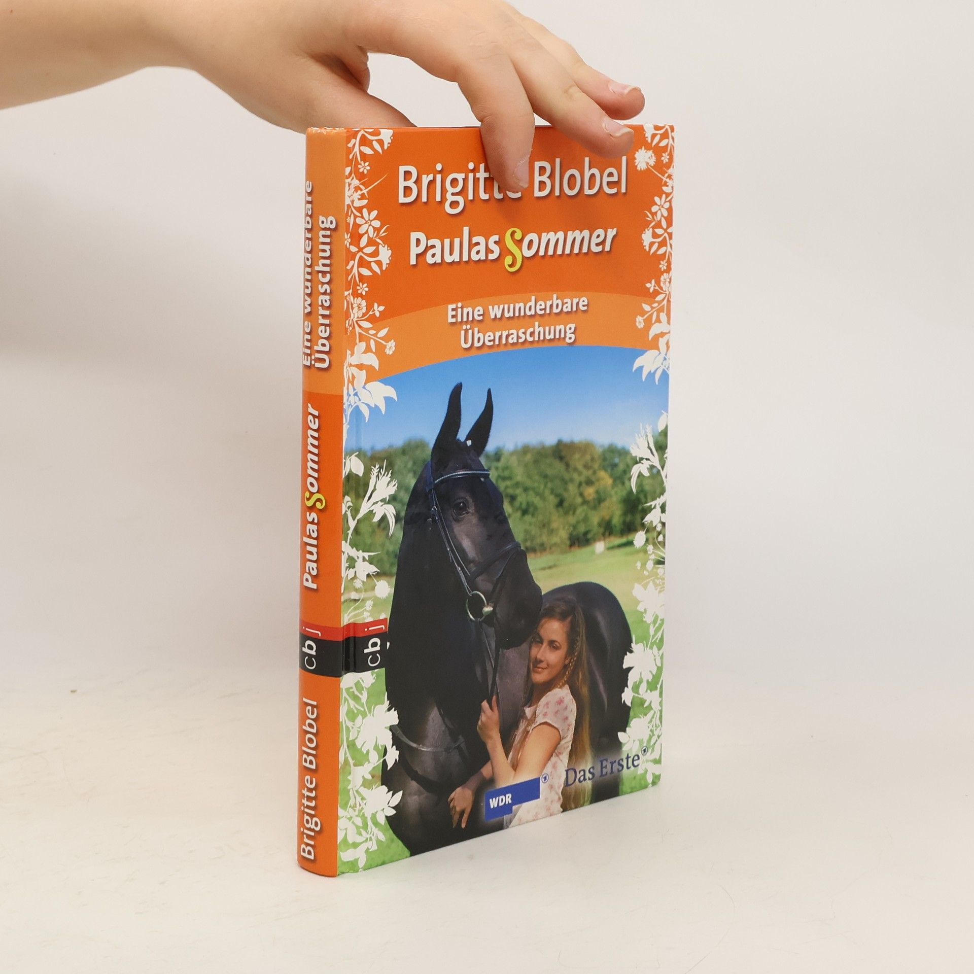 Brigitte Blobel Paulas Sommer 1. Eine wunderbare Überraschung