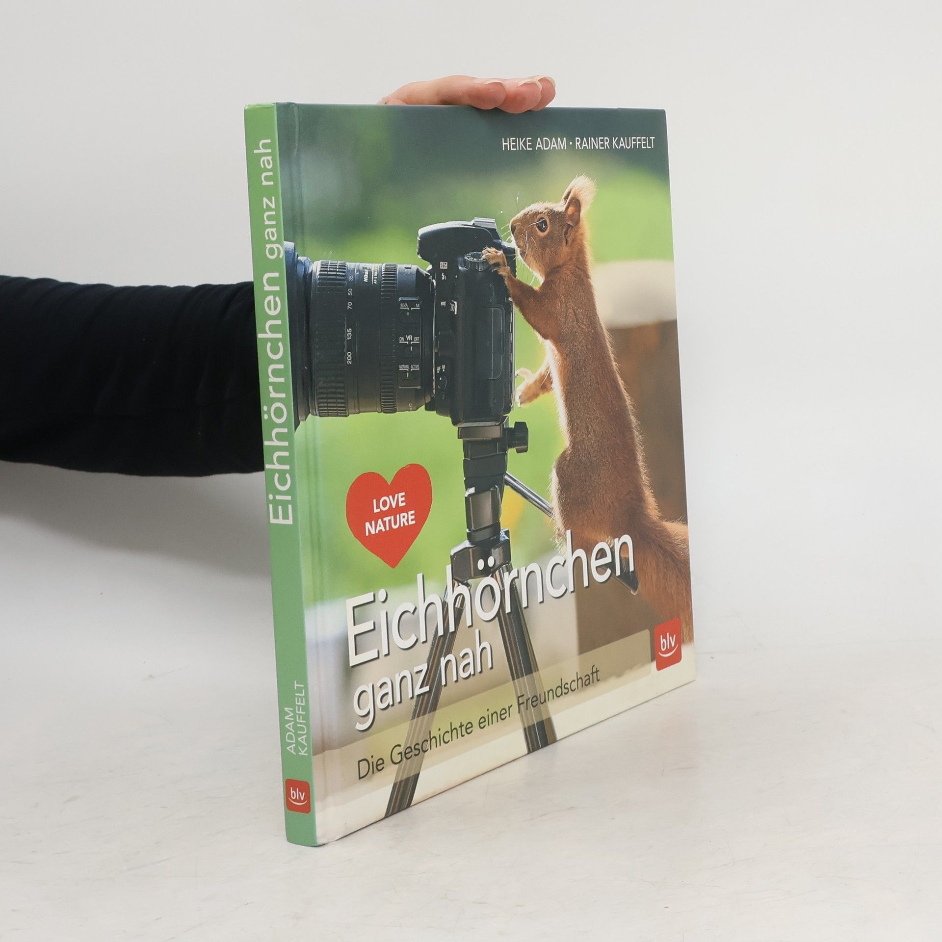 Heike Adam Eichhörnchen ganz nah