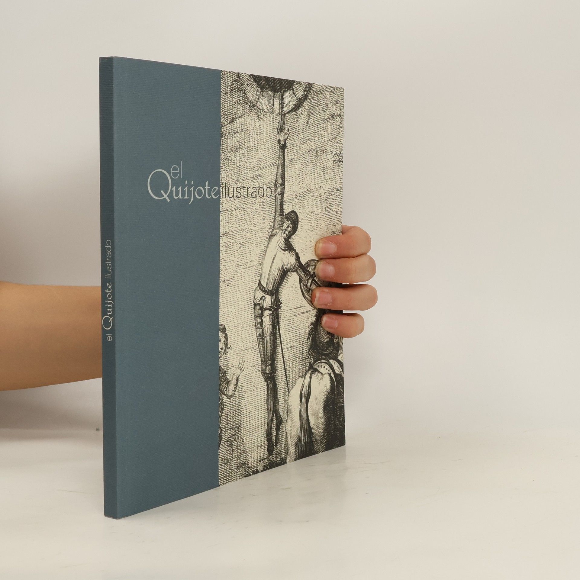 José Miguel Medrano El Quijote ilustrado