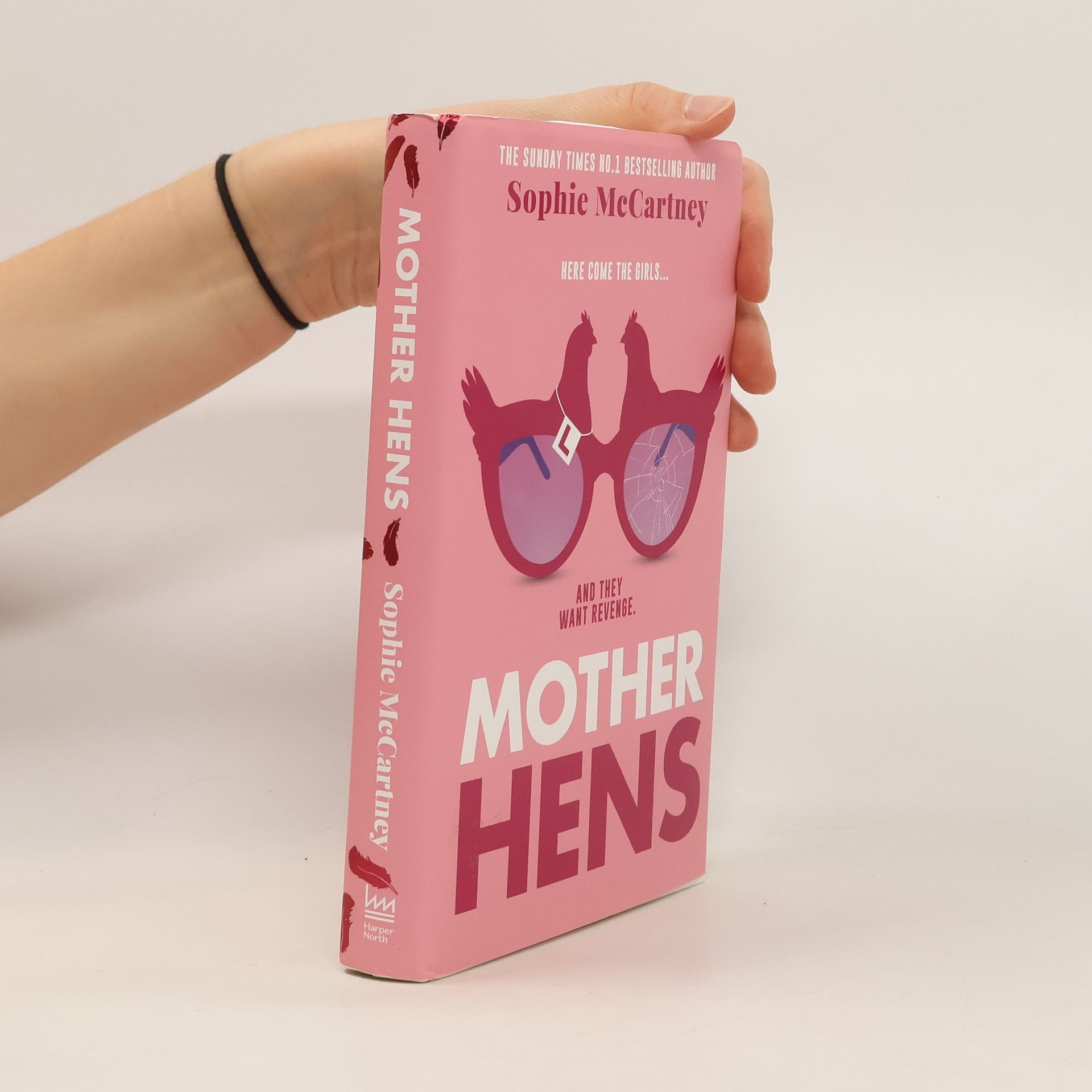 Sophie McCartney Mother Hens