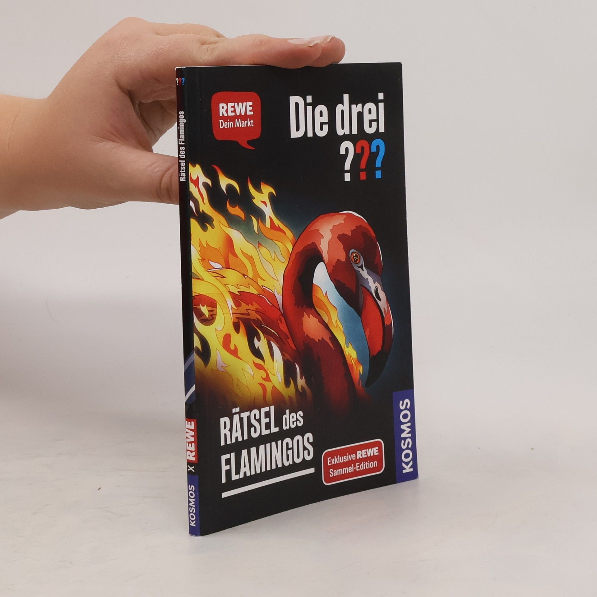 Andreas Ruch Die drei??? Rätsel des Flamingos
