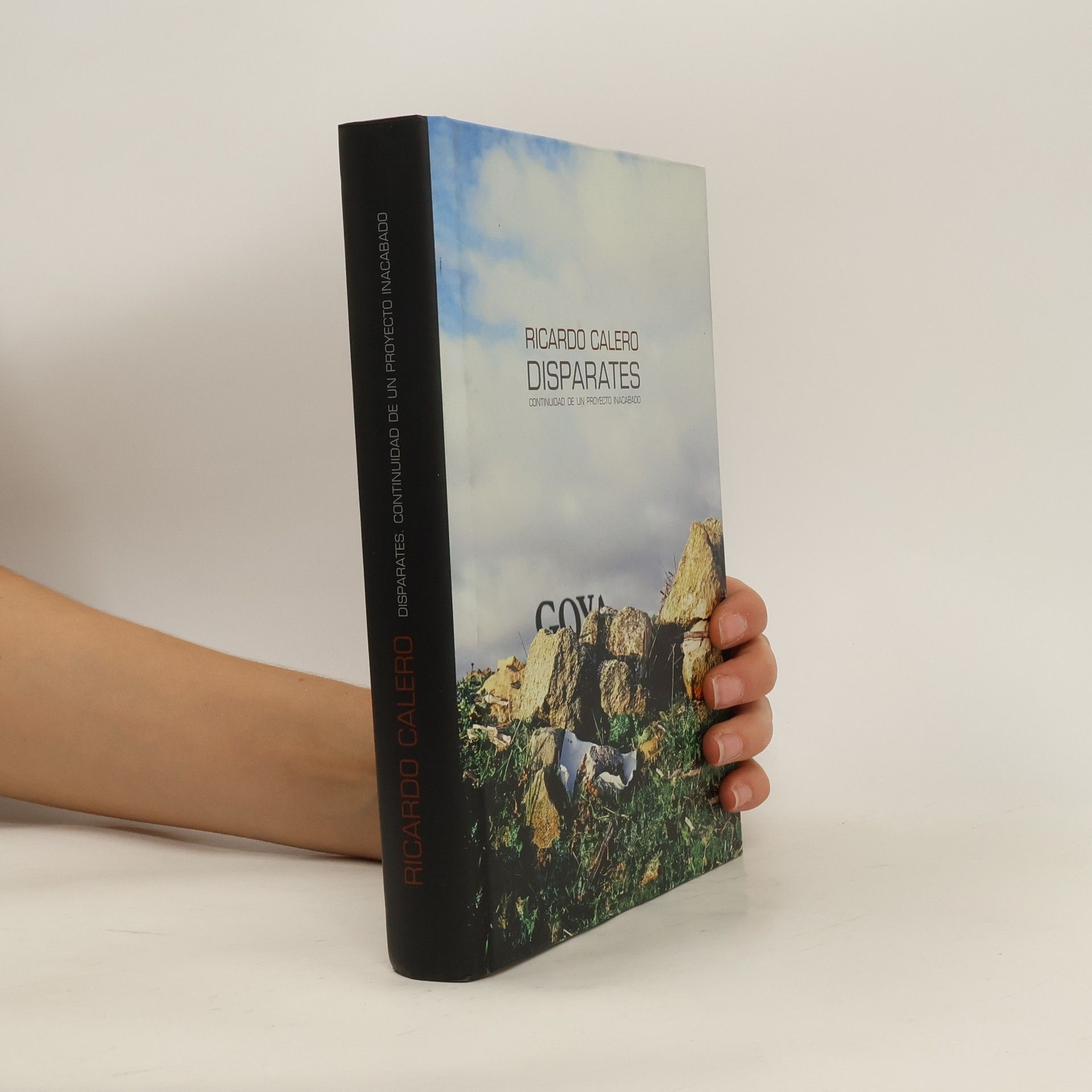 Ricardo Calero - Goya : Disparates : continuidad de un proyecto incabado