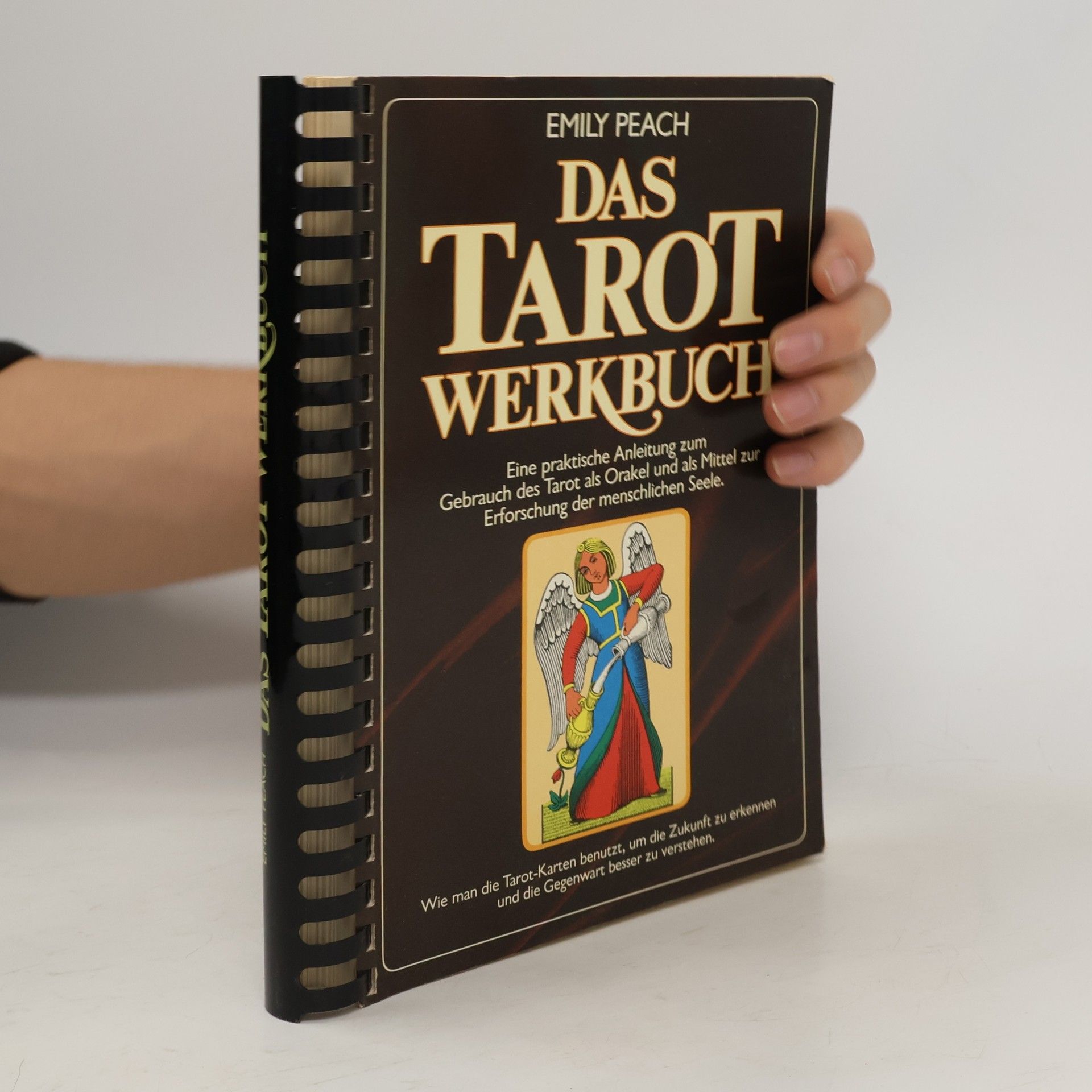 Emily Peach Das Tarot-Werkbuch