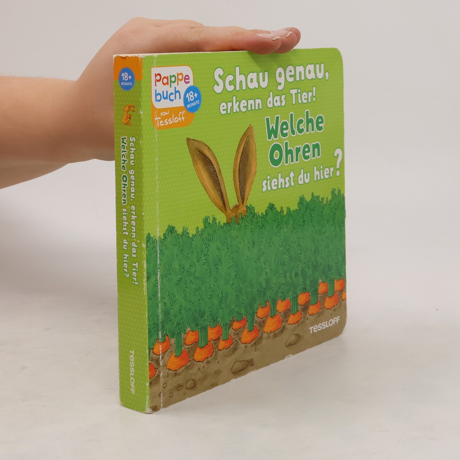 Sandra Reckers Schau genau, erkenn das Tier! Welche Ohren siehst du hier?