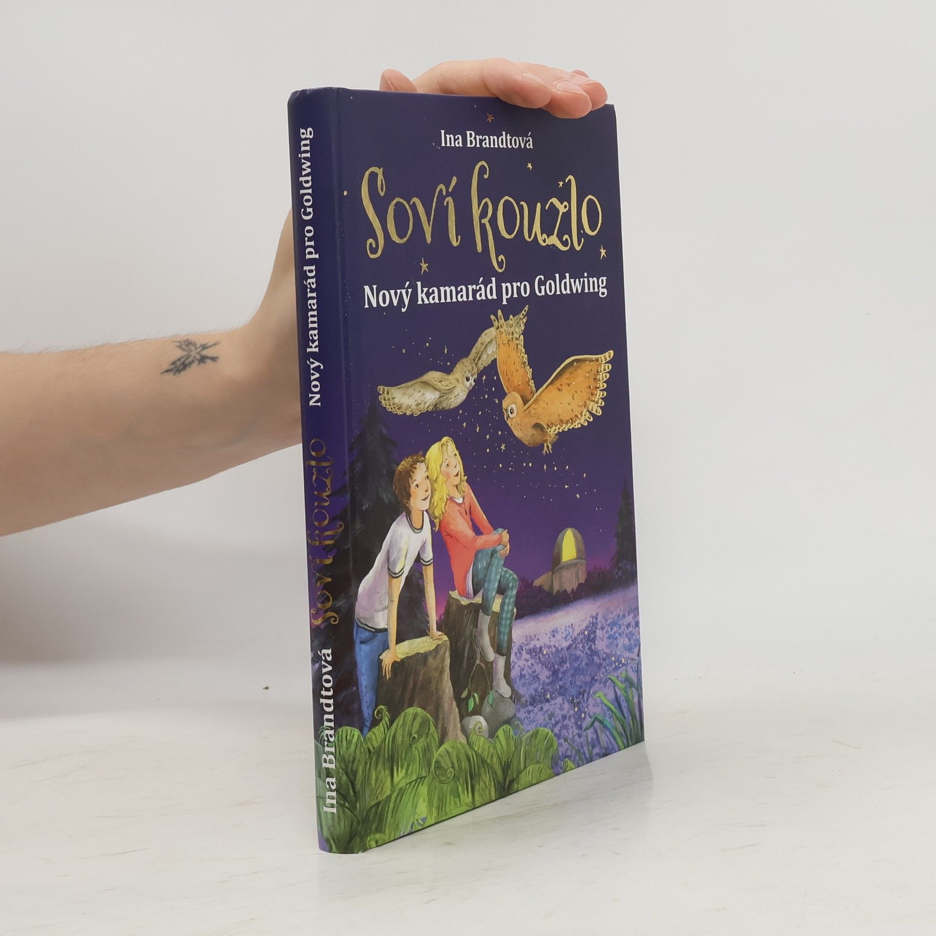 Soví kouzlo. Nový kamarád pro Goldwing