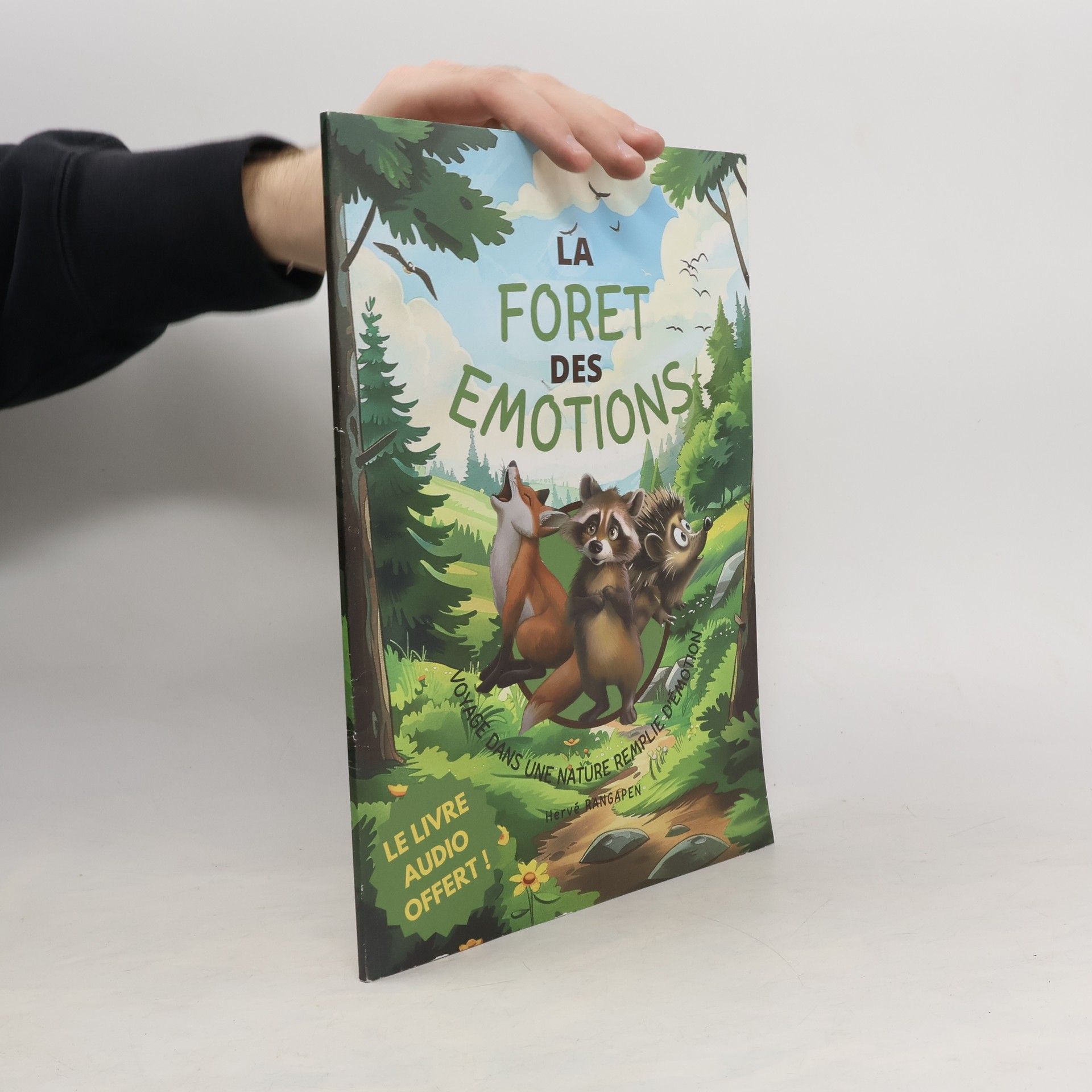 Harvé Rangapen La Foret des Emotions