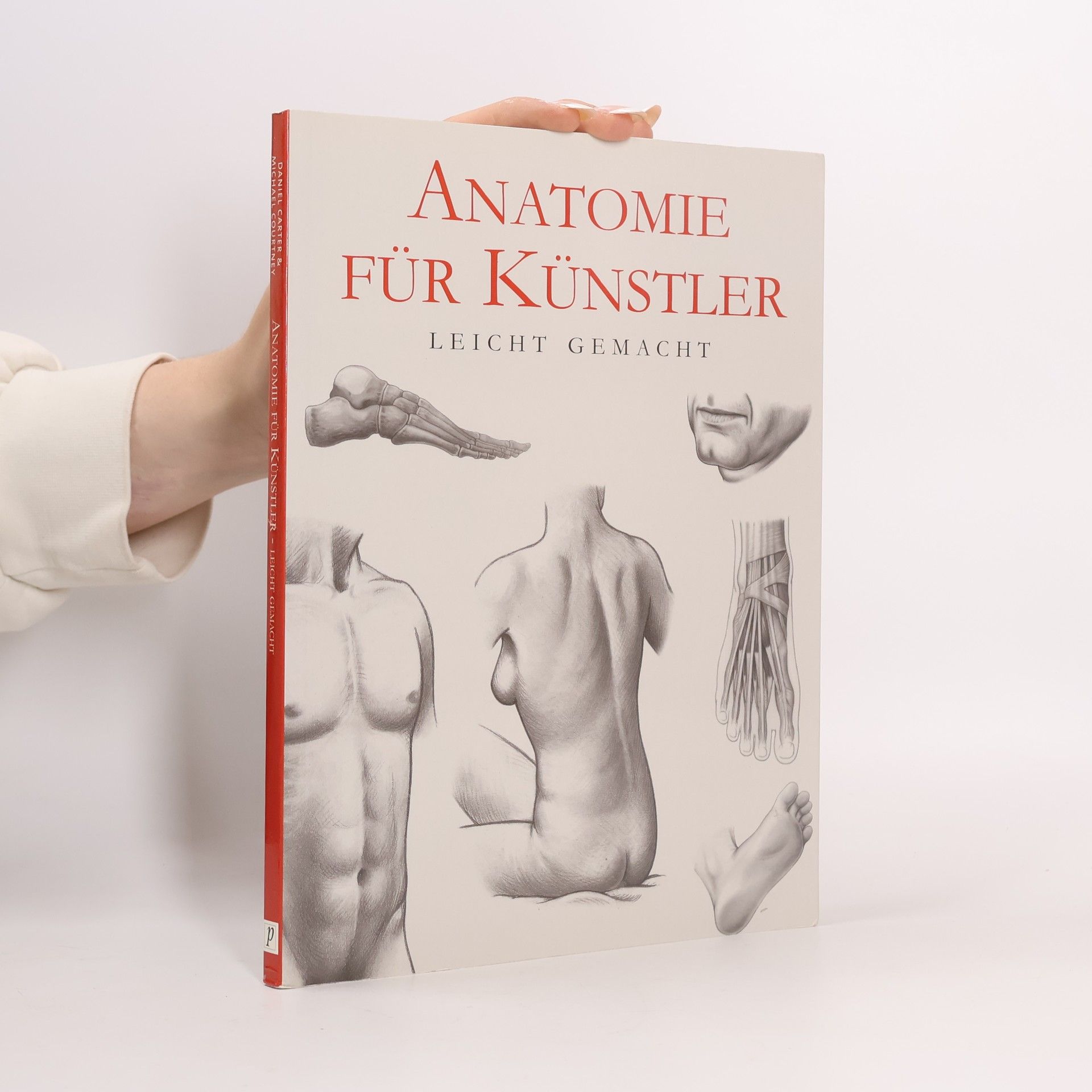 Daniel Carter Anatomie für Künstler