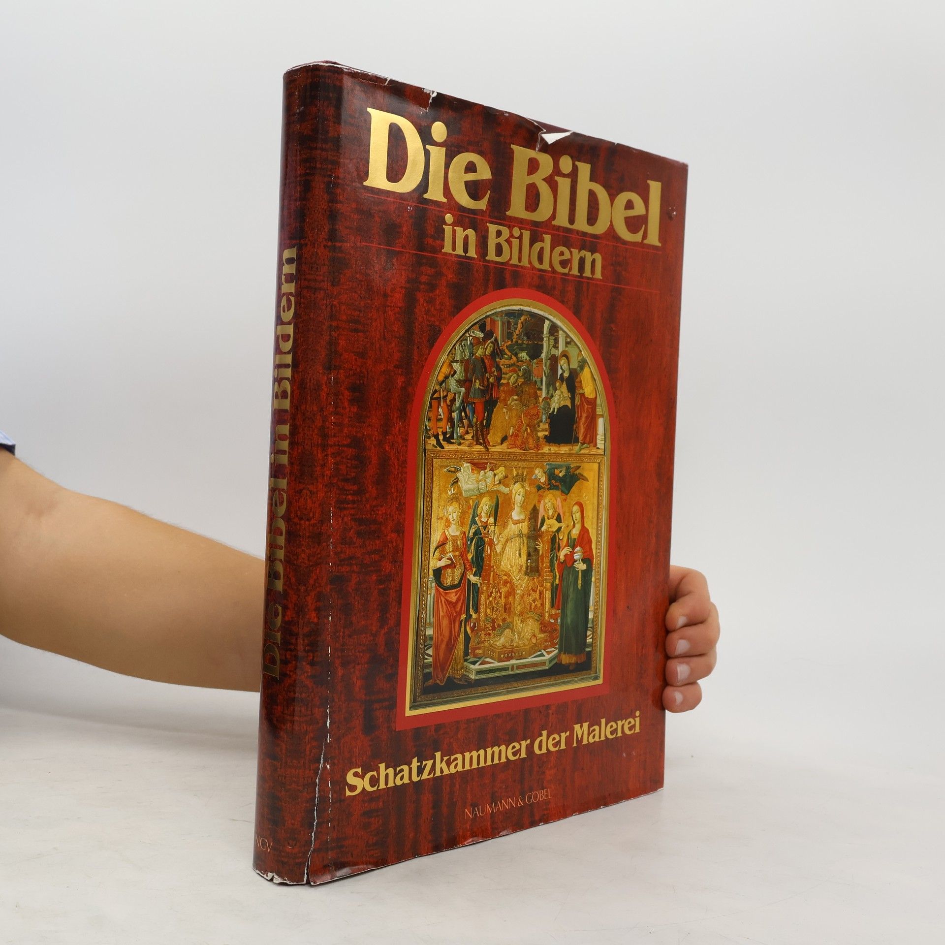 Auteurscollectief Die Bibel in Bildern. Schatzkammer der Malerei